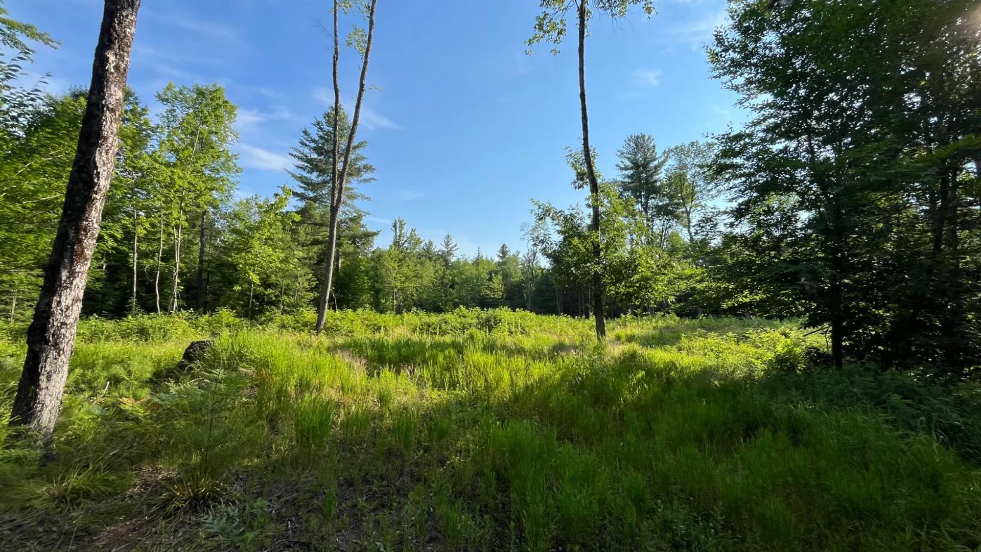 Property at 00 White Pine Lane/pvt, Pitcairn, NY 13648 40