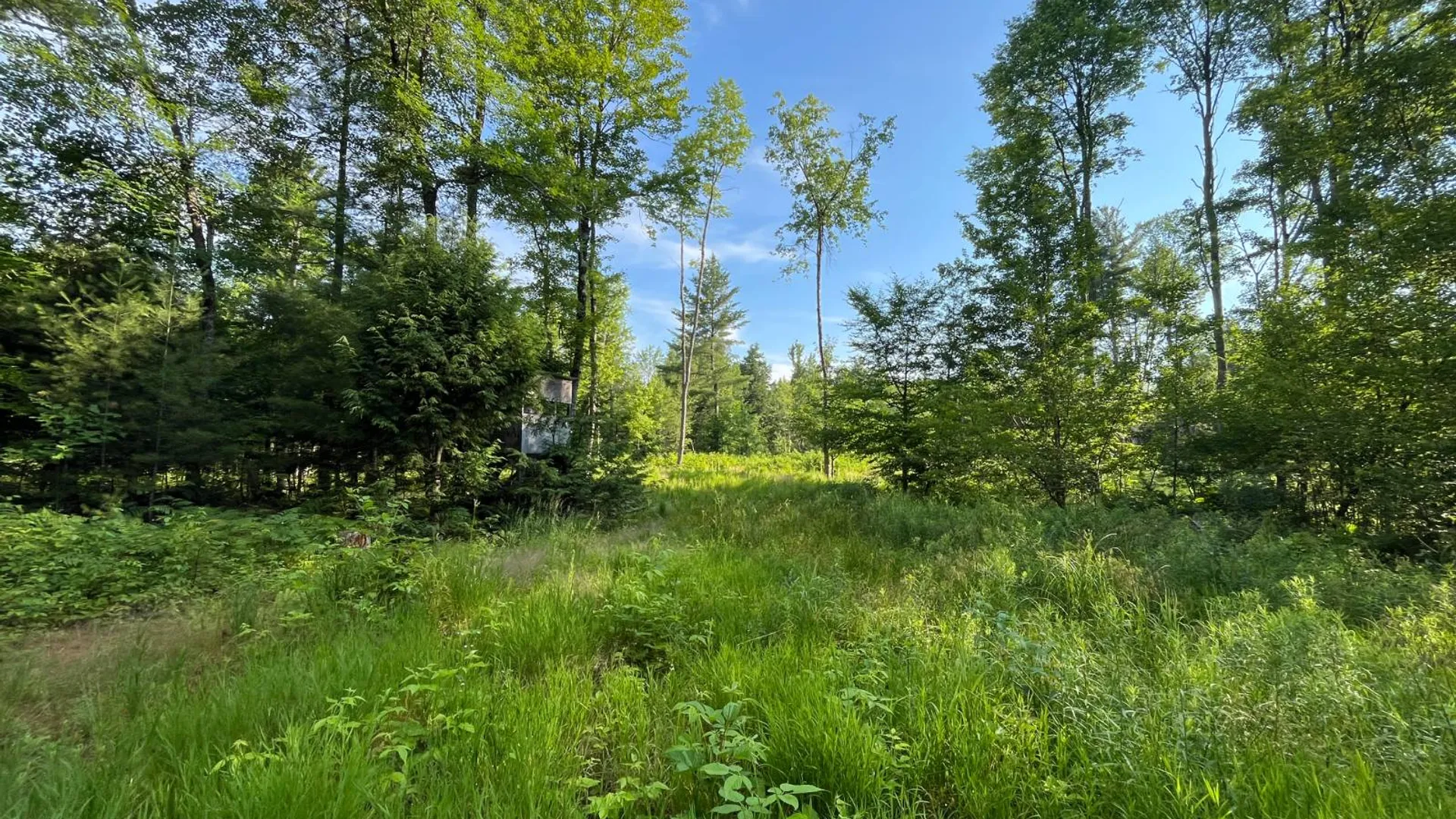 Property at 00 White Pine Lane/pvt, Pitcairn, NY 13648 42