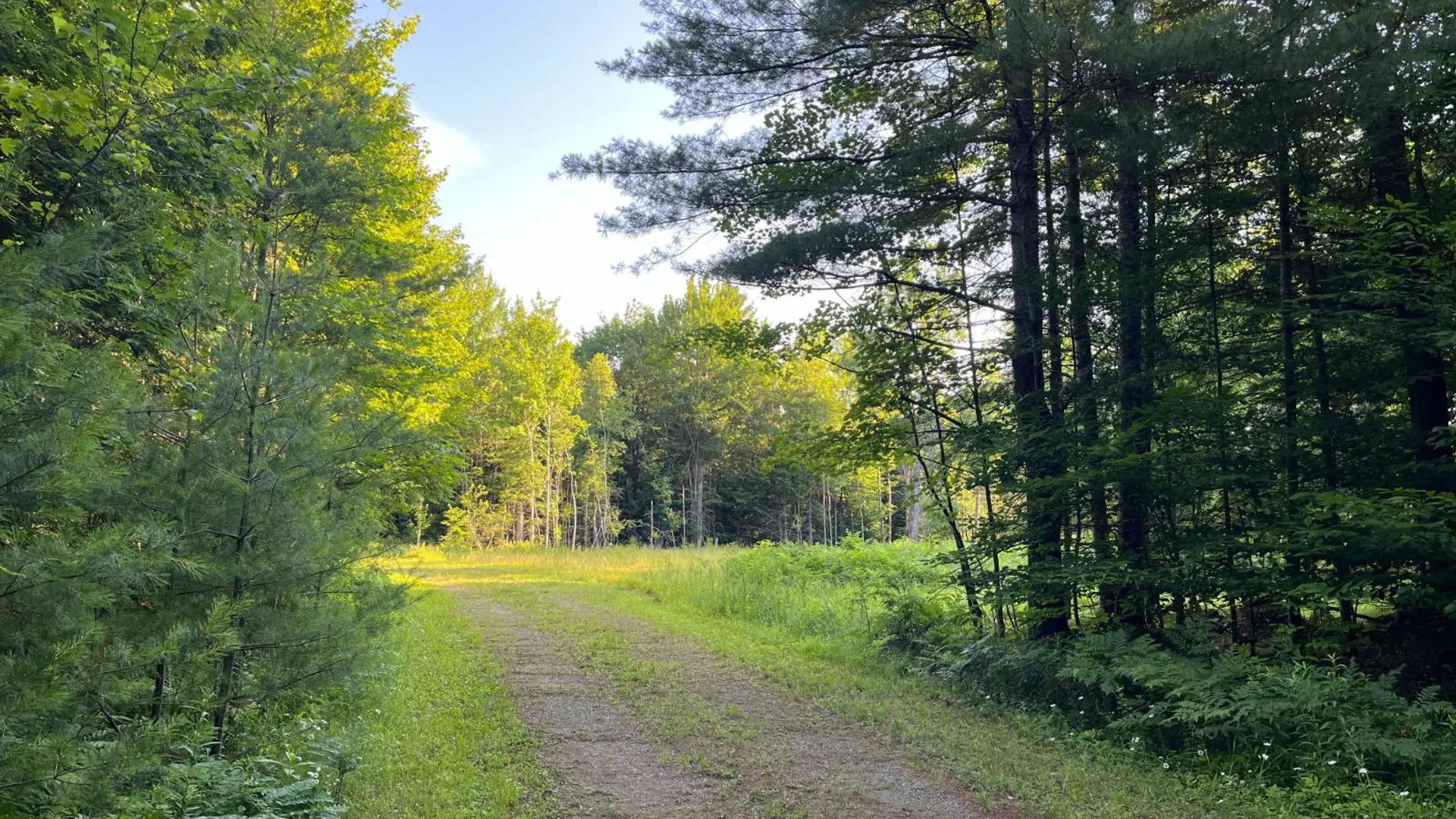 Property at 00 White Pine Lane/pvt, Pitcairn, NY 13648 45