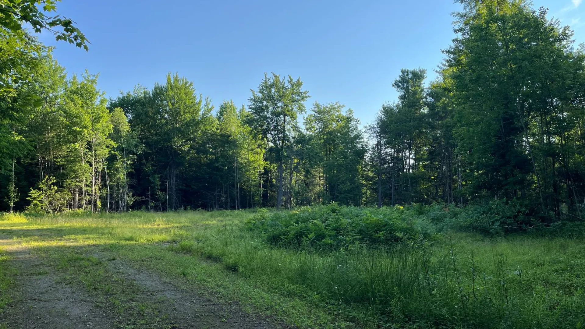 Property at 00 White Pine Lane/pvt, Pitcairn, NY 13648 46