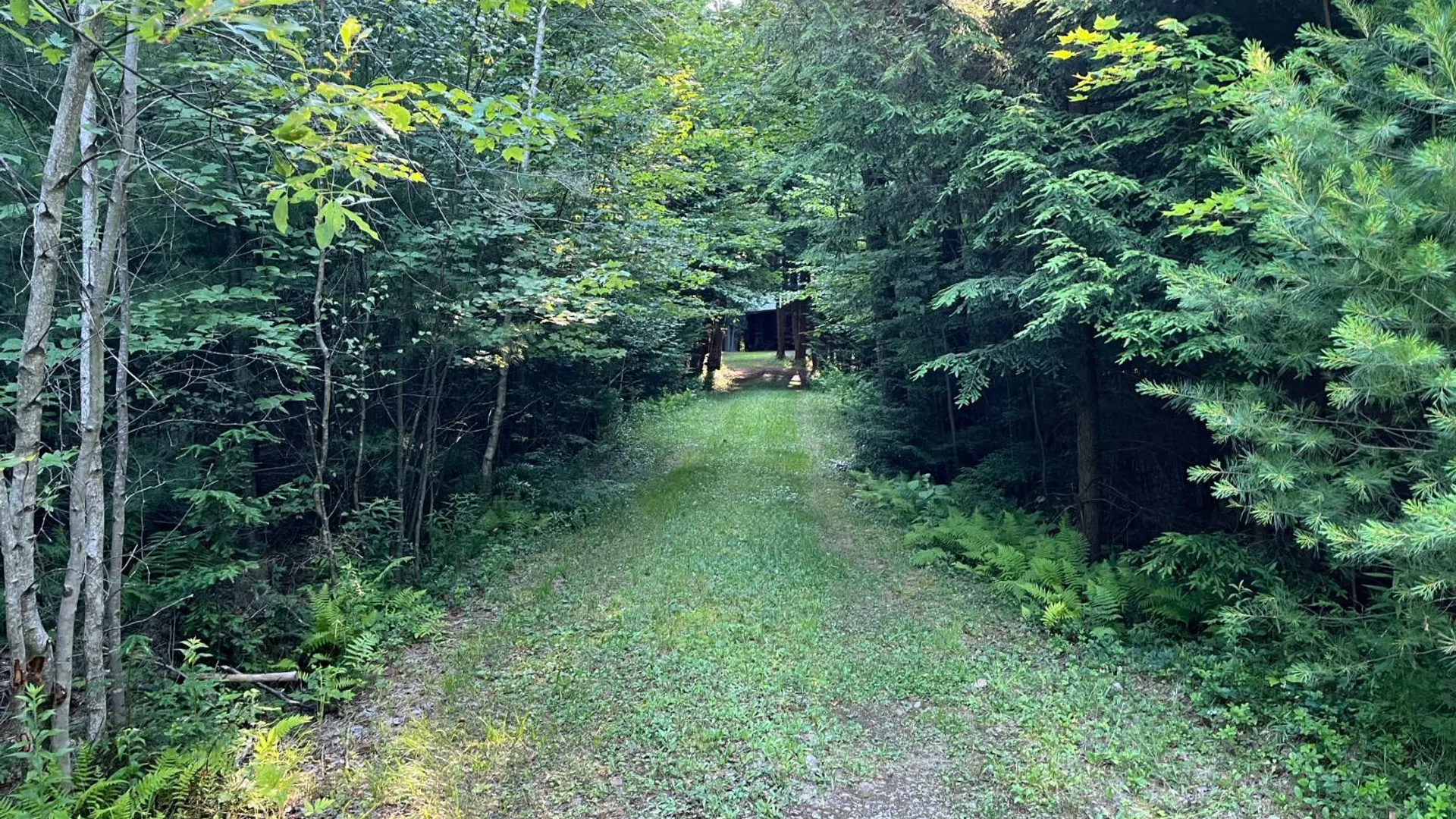 Property at 00 White Pine Lane/pvt, Pitcairn, NY 13648 48