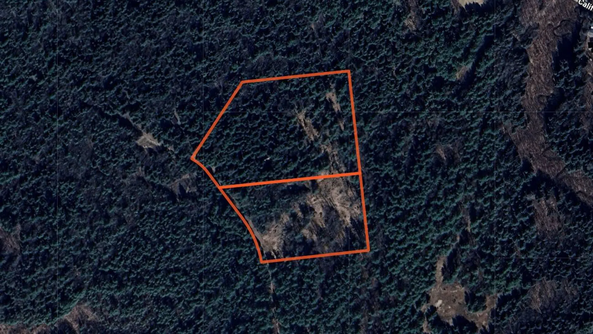 Property at 00 White Pine Lane/pvt, Pitcairn, NY 13648 5