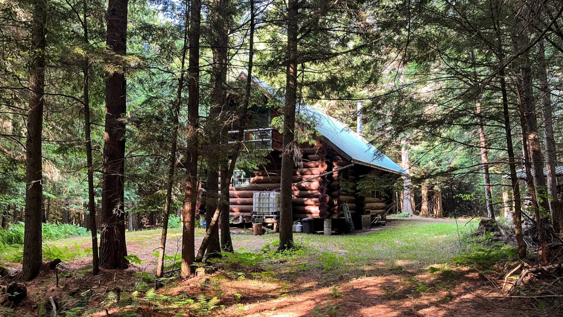 Property at 00 White Pine Lane/pvt, Pitcairn, NY 13648 9