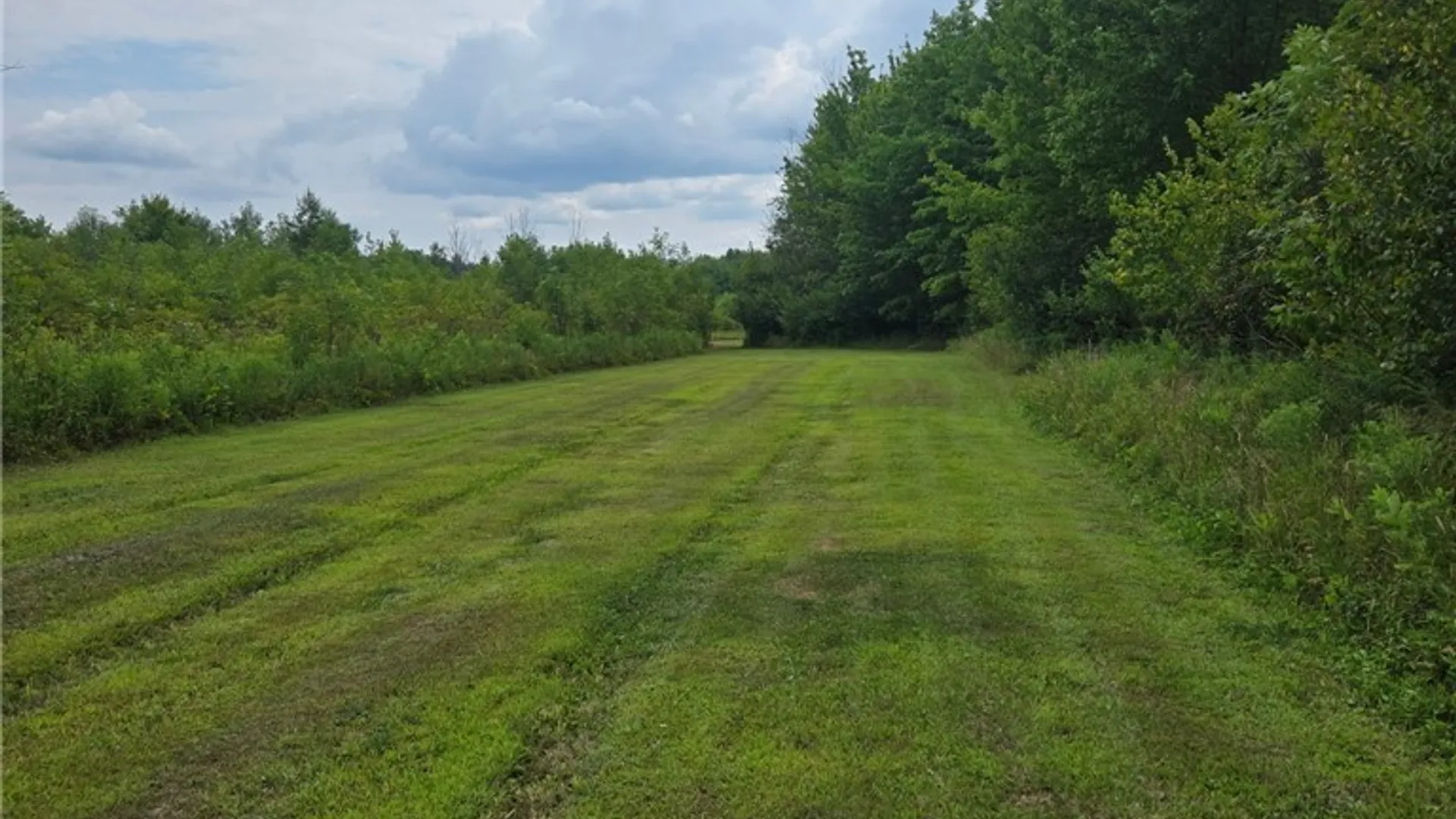 Property at 10960 Railroad Avenue, Brant, NY 14081 17