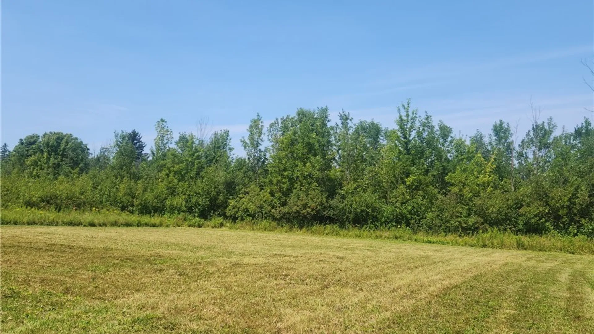 Property at 10960 Railroad Avenue, Brant, NY 14081 19