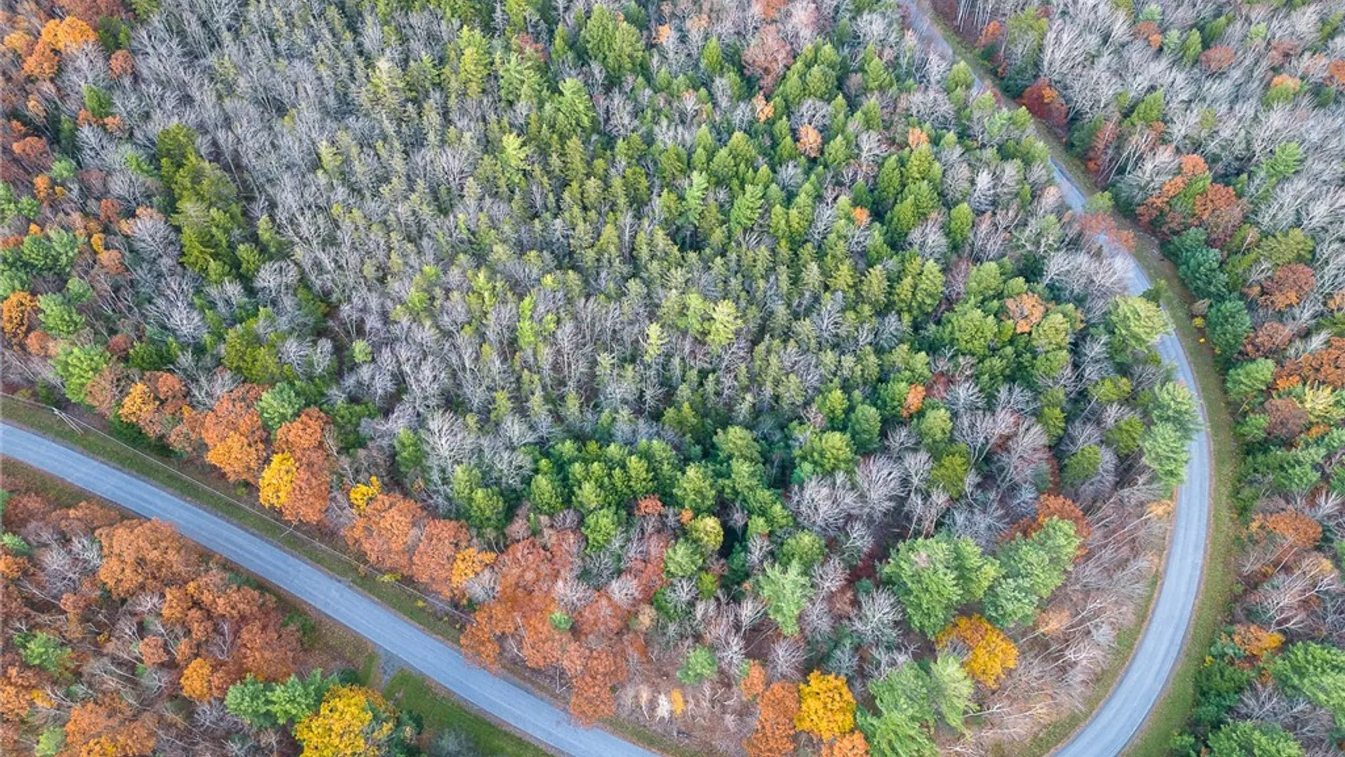 Property at Woodland Drive, Jefferson, NY 12093 2