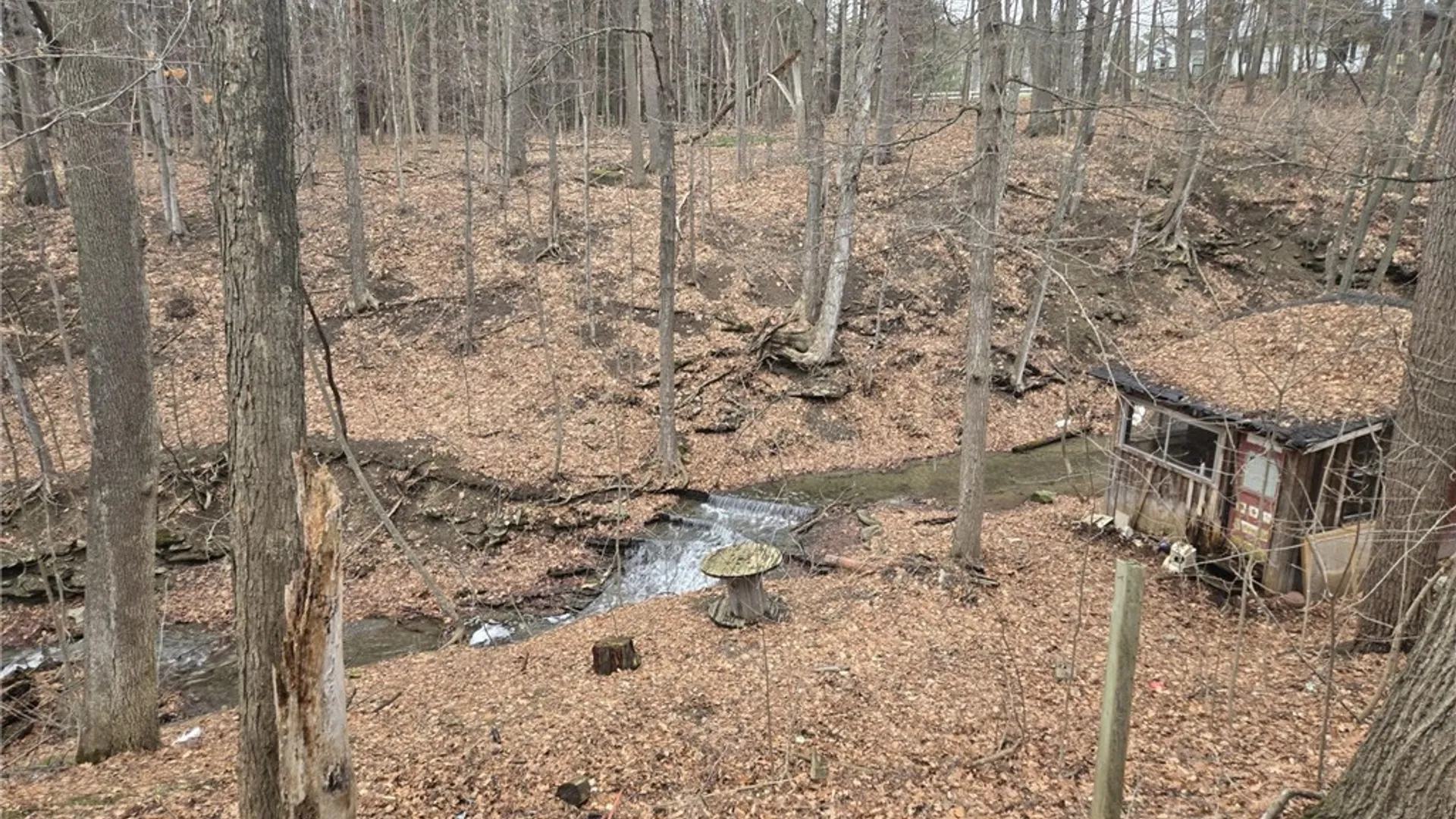 Property at 7625 Wheaton Hill Road, Springwater, NY 14560 15