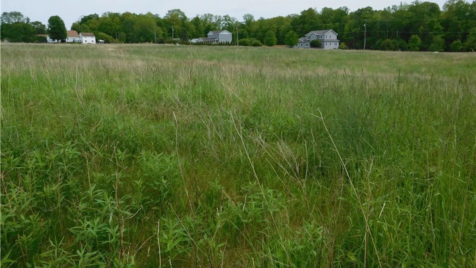 Property at 0 Wilson  Lot 1 Road, Lansing, NY 14882 10