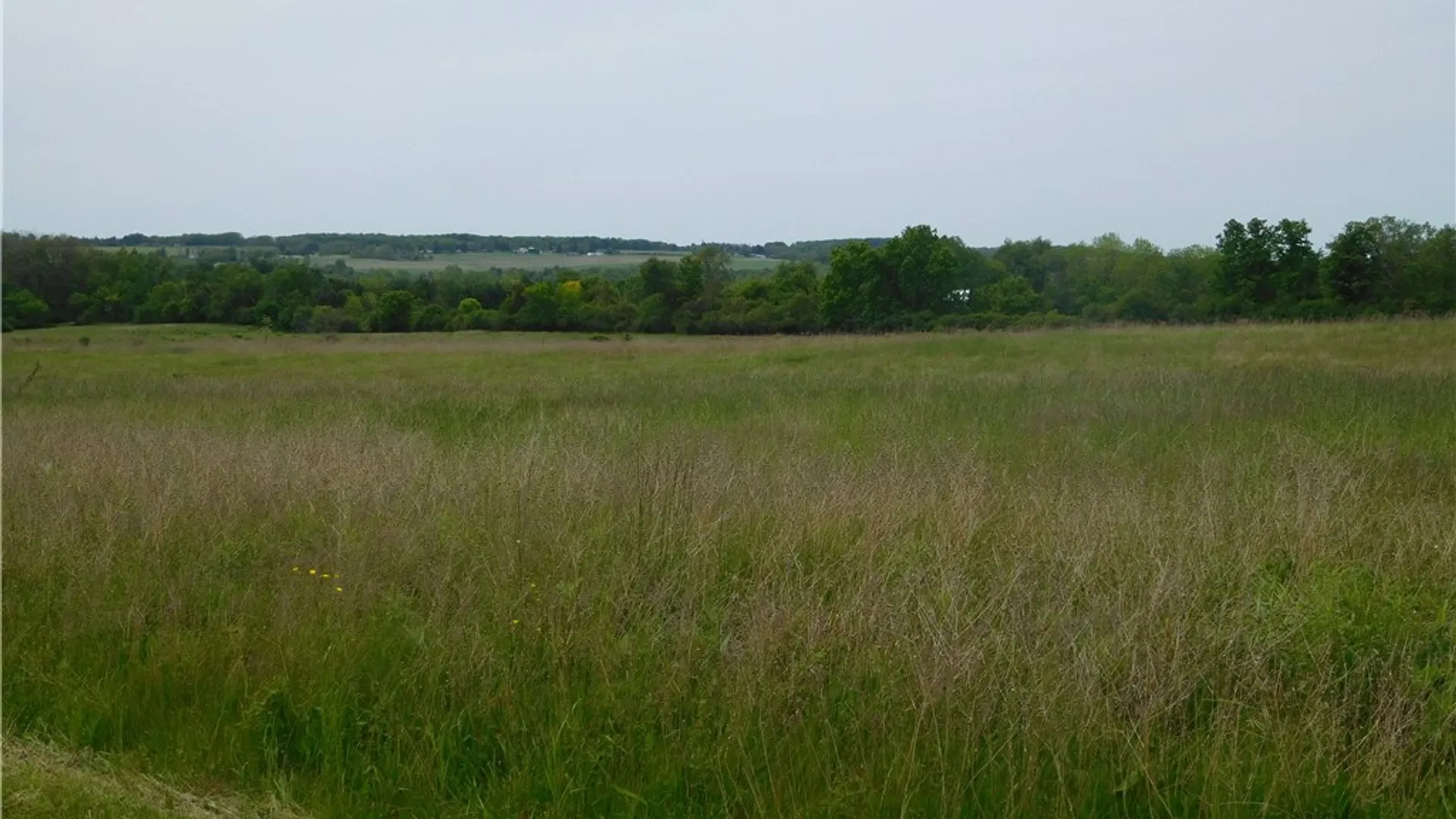 Property at 0 Wilson  Lot 1 Road, Lansing, NY 14882 11
