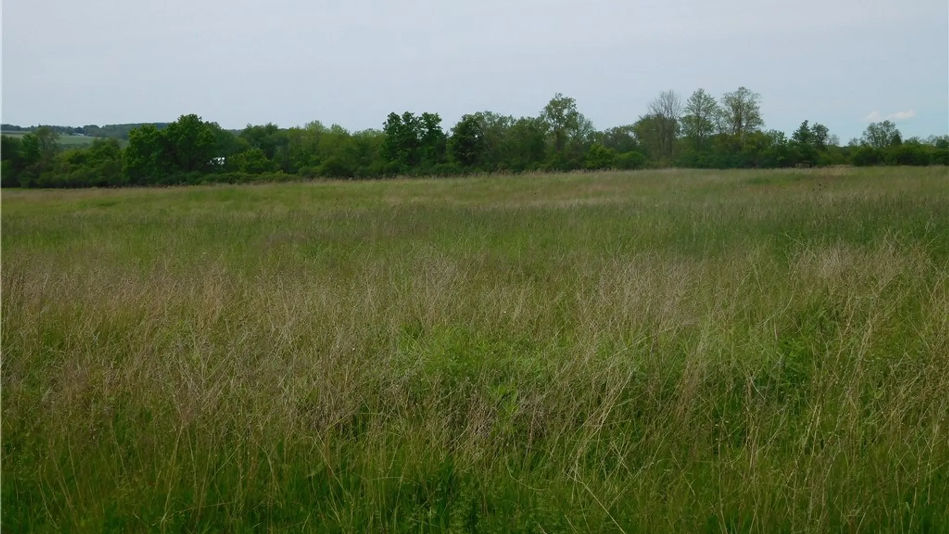 Property at 0 Wilson  Lot 1 Road, Lansing, NY 14882 12