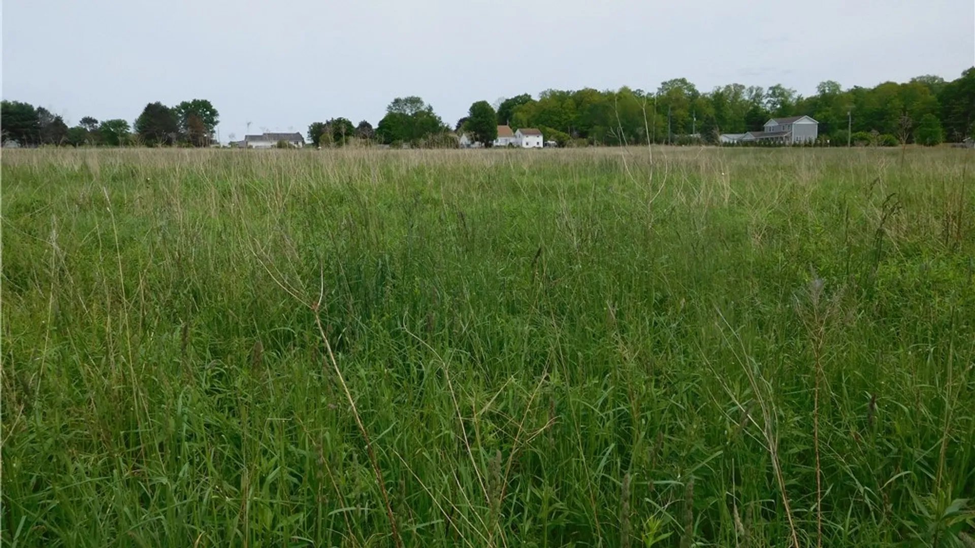 Property at 0 Wilson  Lot 1 Road, Lansing, NY 14882 14