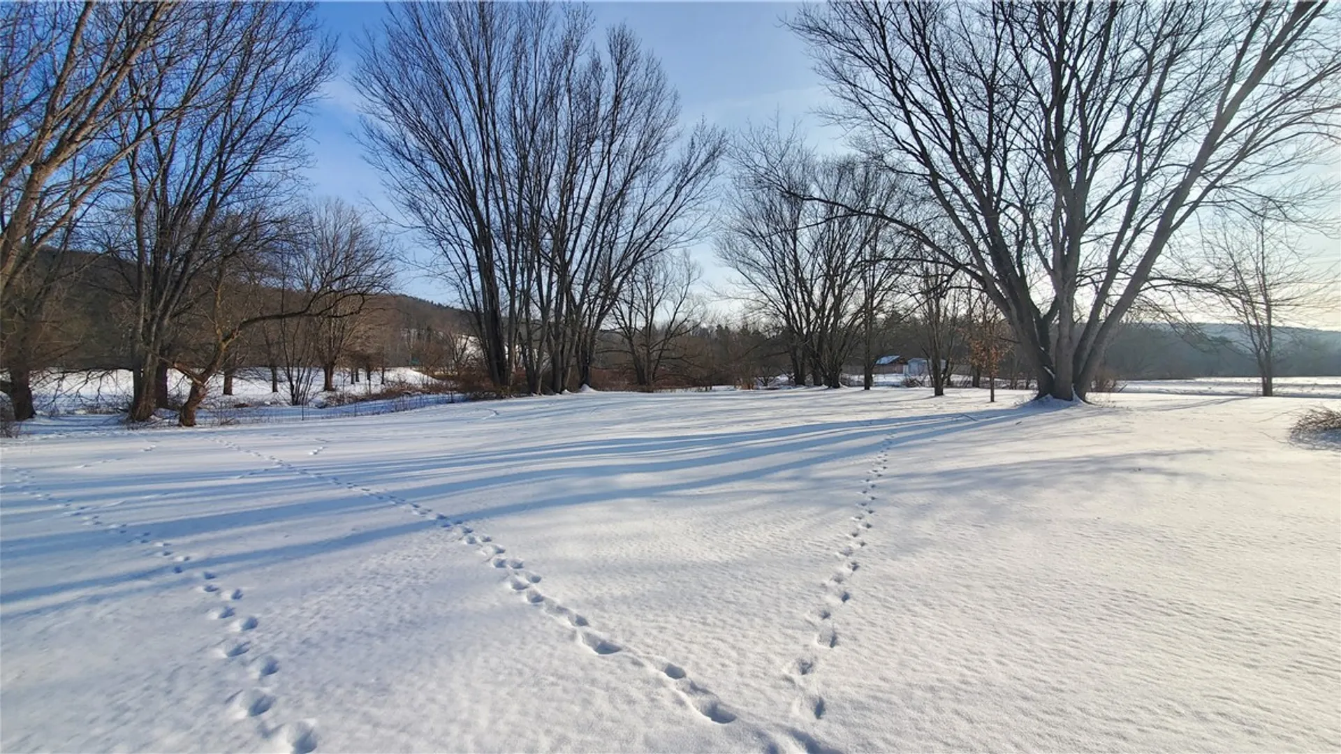 Property at 112 Main Street, Unadilla, NY 13849 39