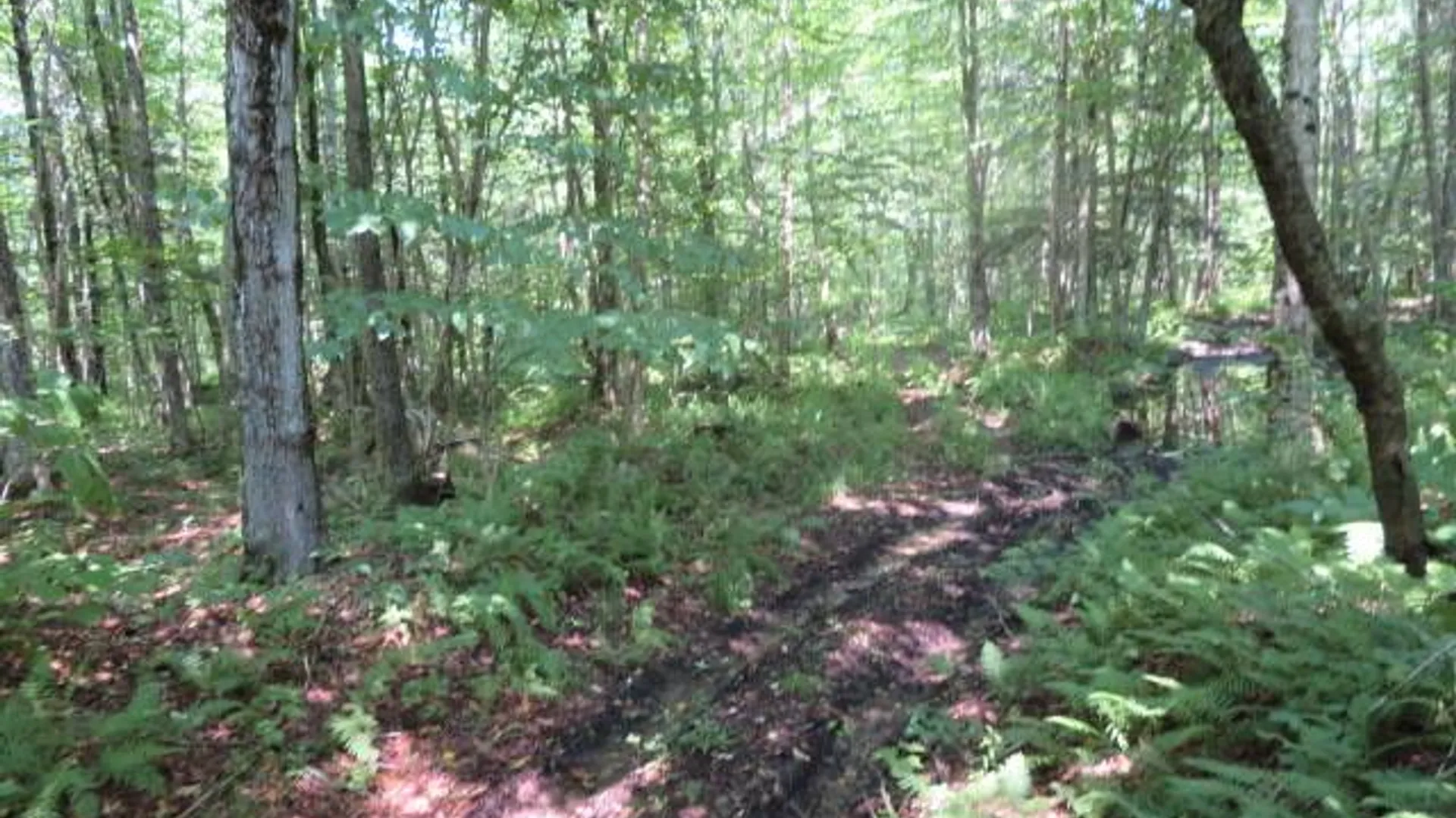 Property at 0 Kimball Camp Rd, Orwell, NY 13426 10
