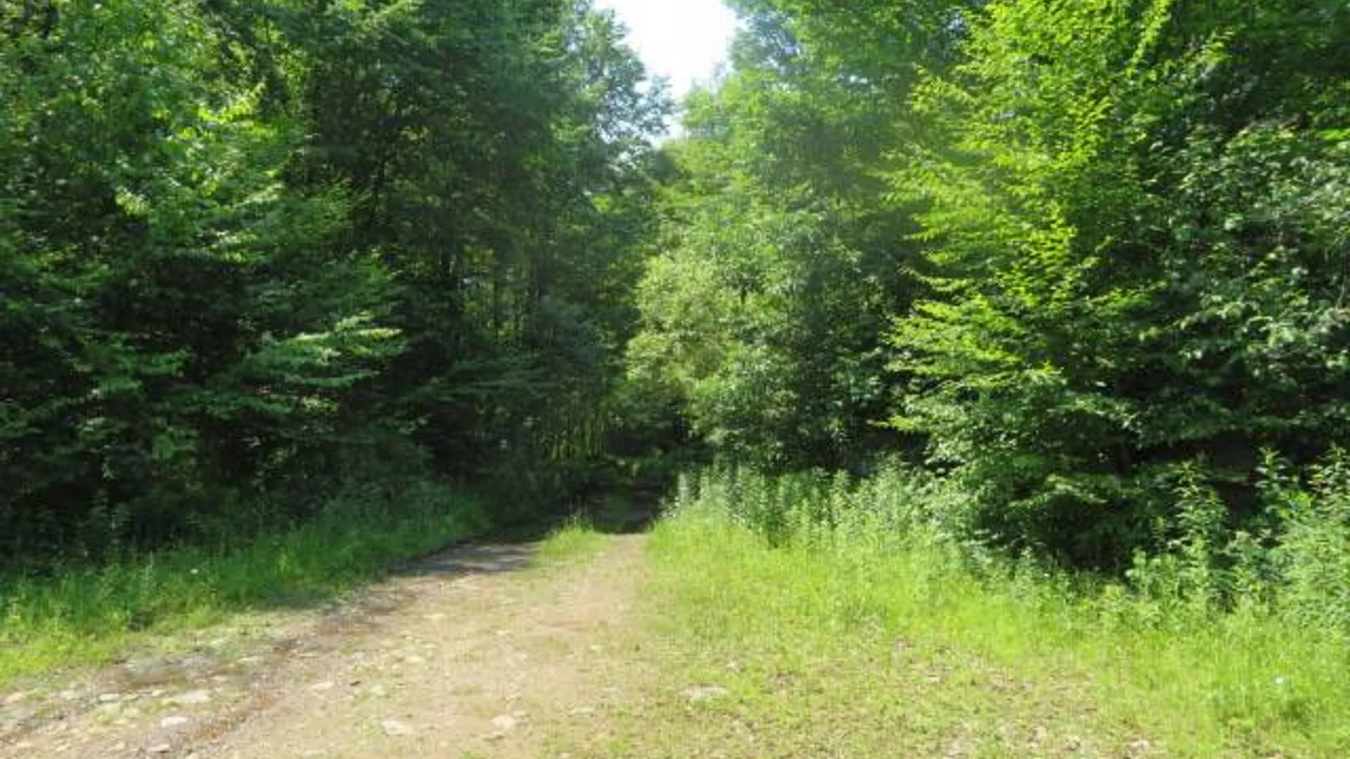Property at 0 Kimball Camp Rd, Orwell, NY 13426 13