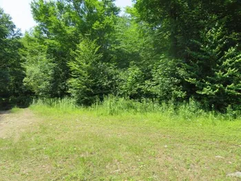 Property at 0 Kimball Camp Rd, Orwell, NY 13426