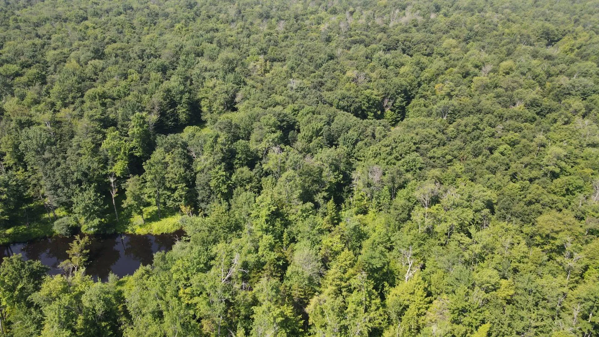 Property at 0 Kimball Camp Rd, Orwell, NY 13426 8