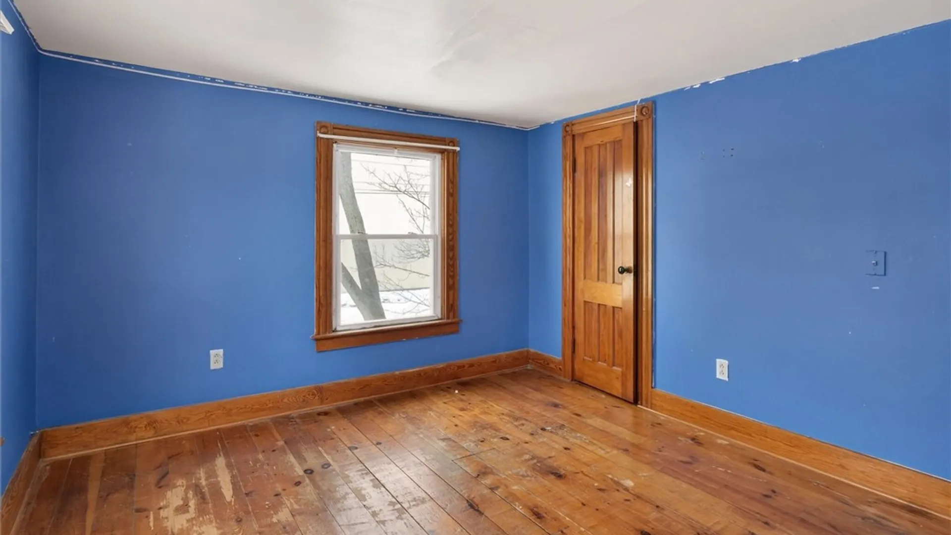 Property at 224 Norton Street, Arcadia, NY 14513 19