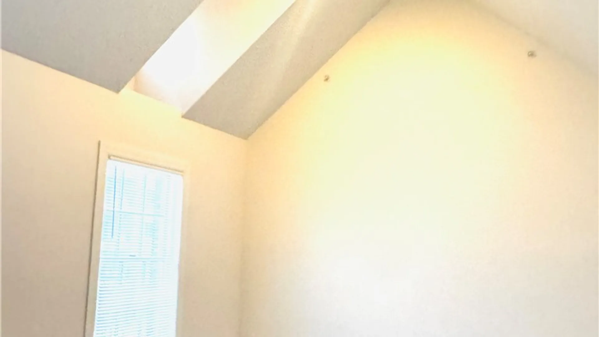 Property at 98 Union Street, Rochester, NY 14607 20