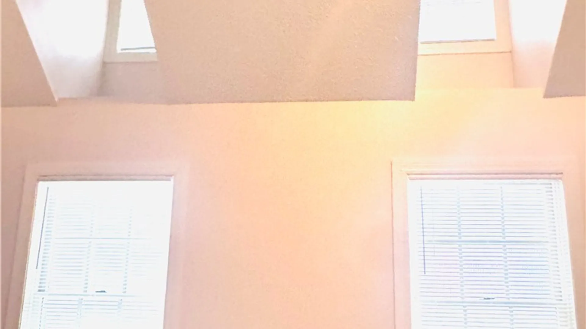 Property at 98 Union Street, Rochester, NY 14607 22