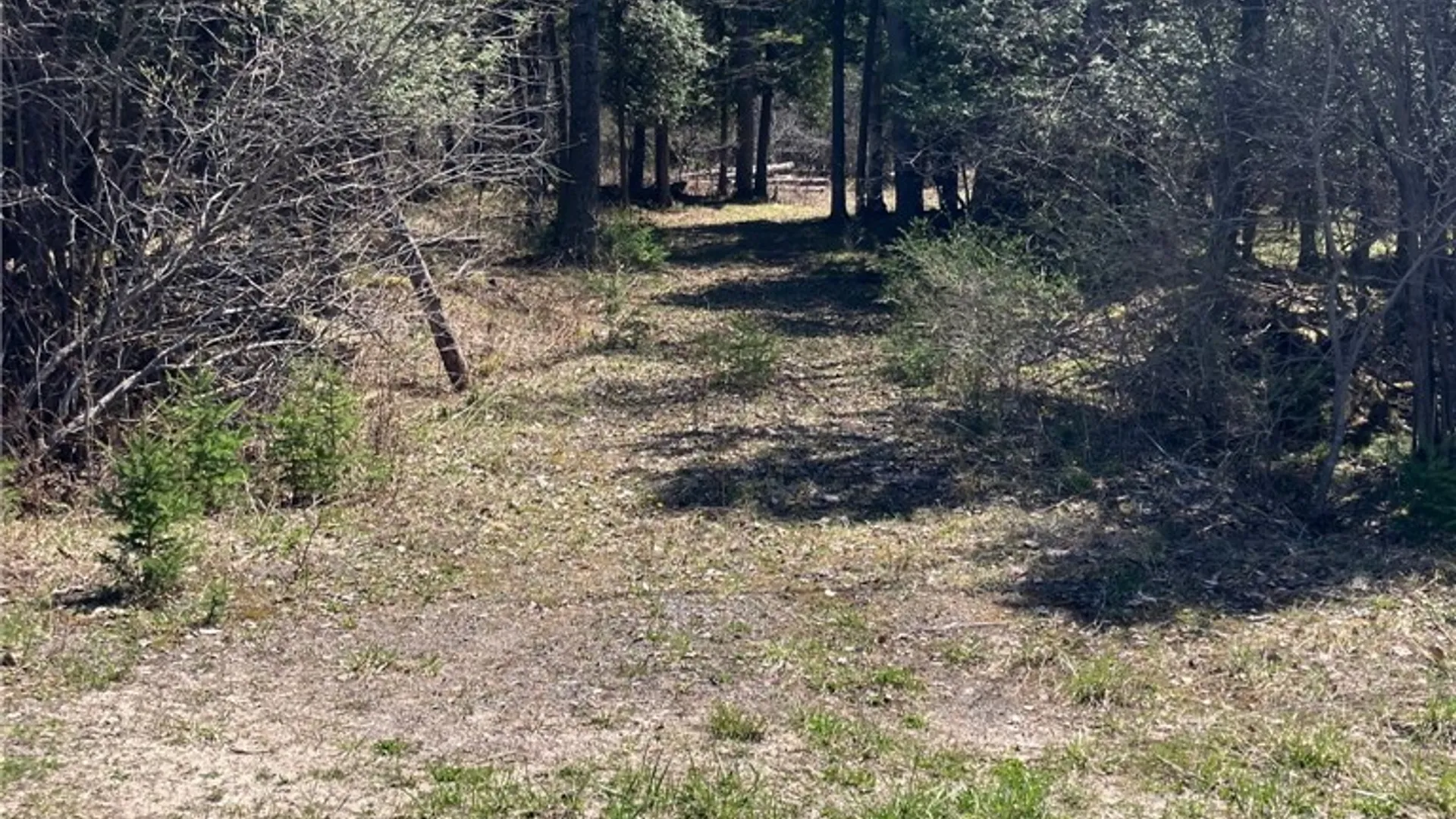 Property at Cr 35, Potsdam, NY 13676 2