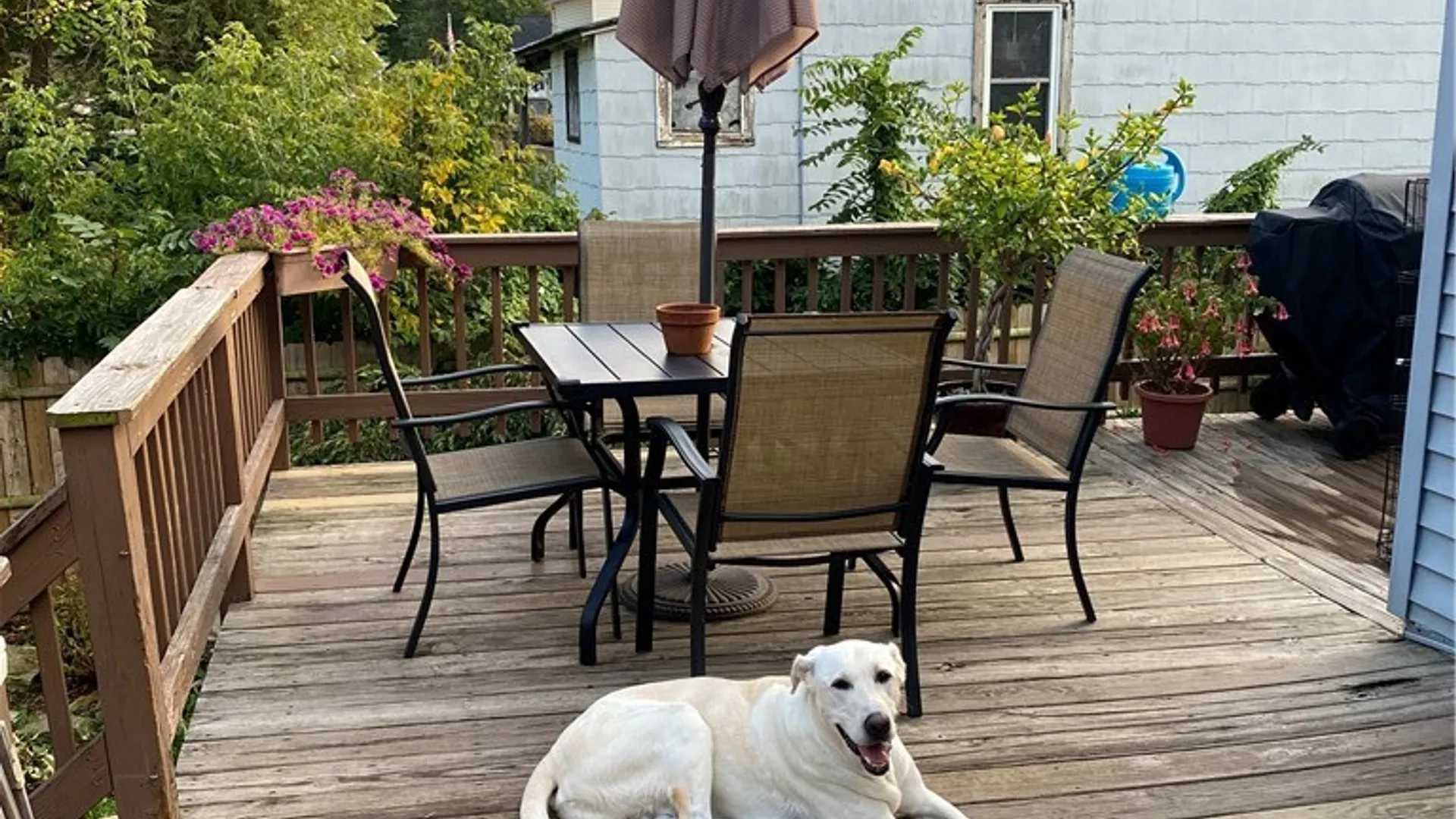 Property at 8 2nd Street, Alexandria, NY 13607 42