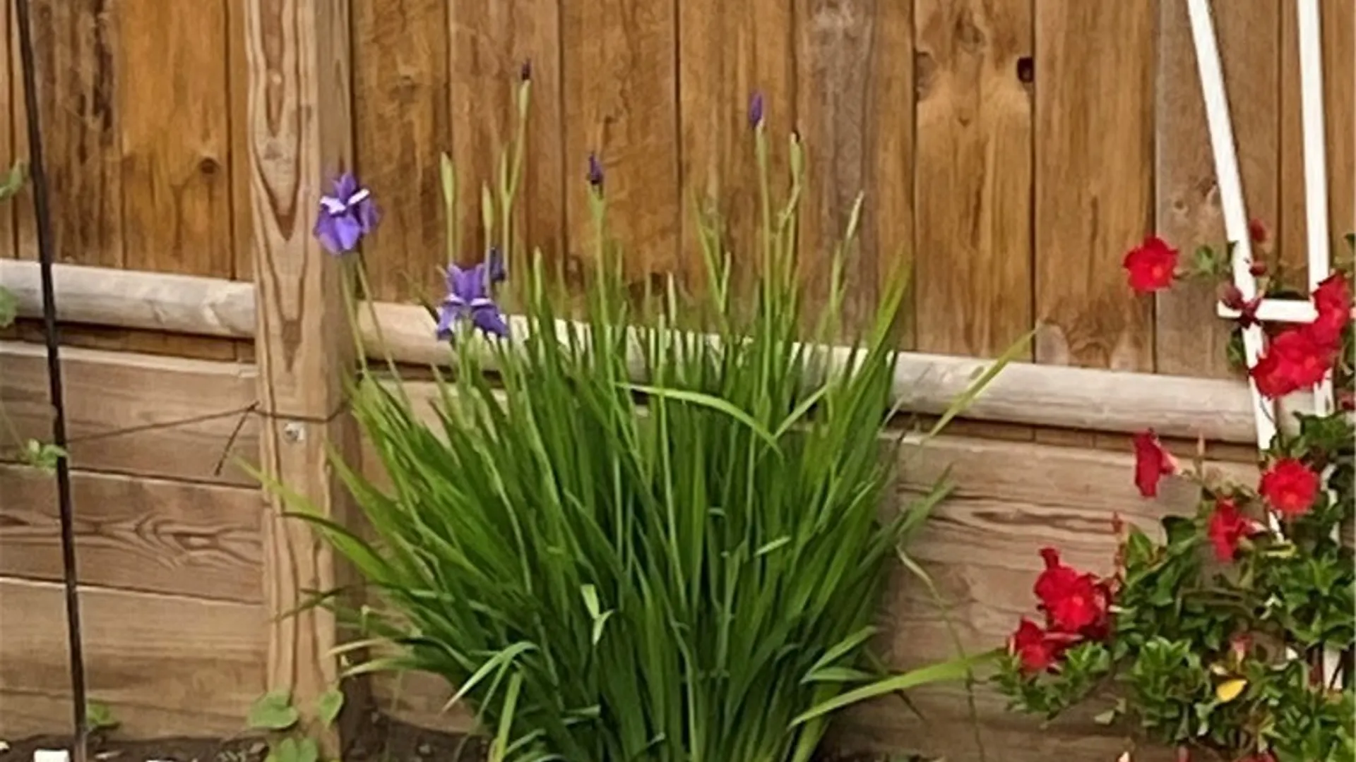 Property at 8 2nd Street, Alexandria, NY 13607 45