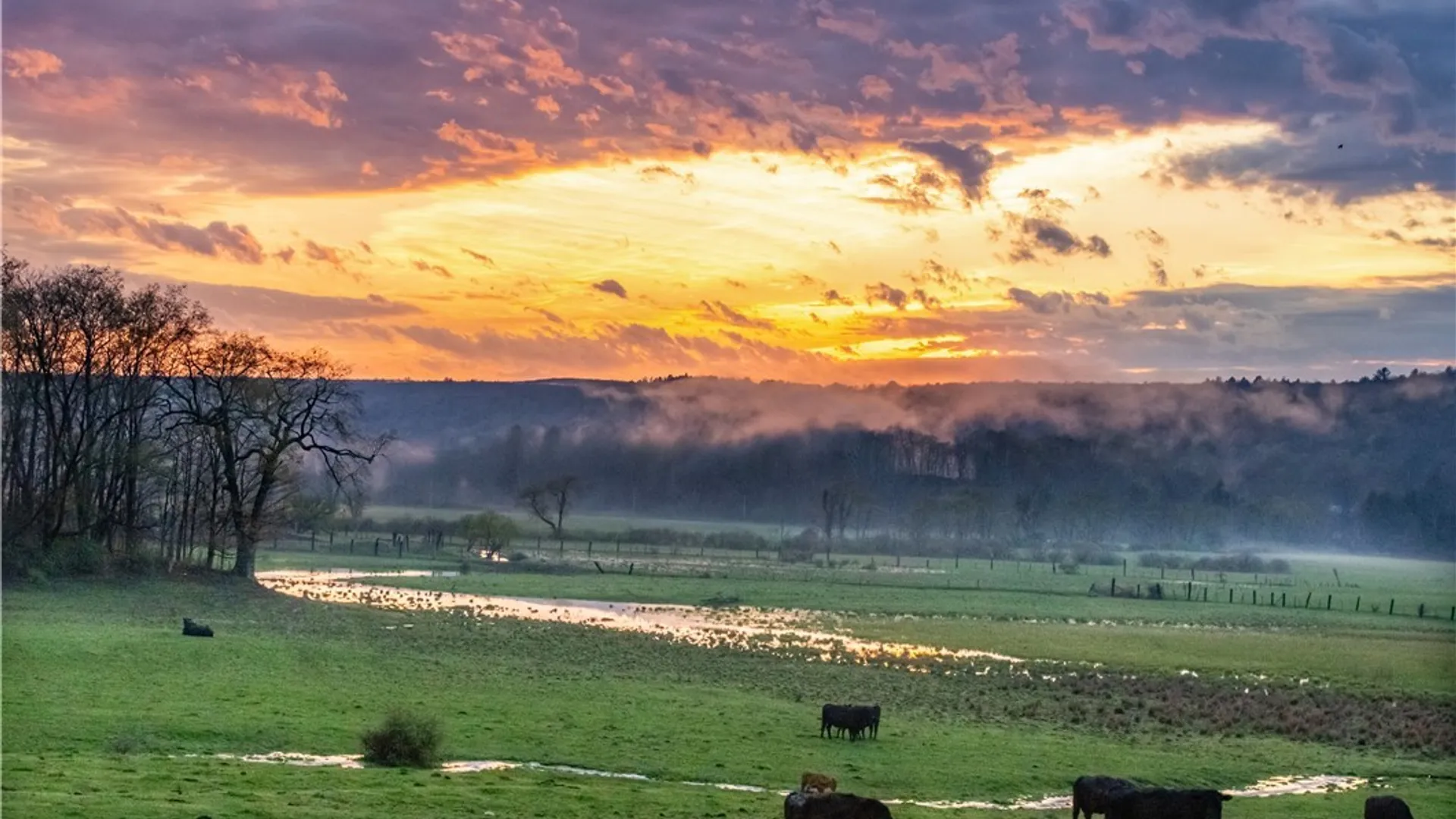 Property at 15541 State Highway 23, Davenport, NY 13750 23