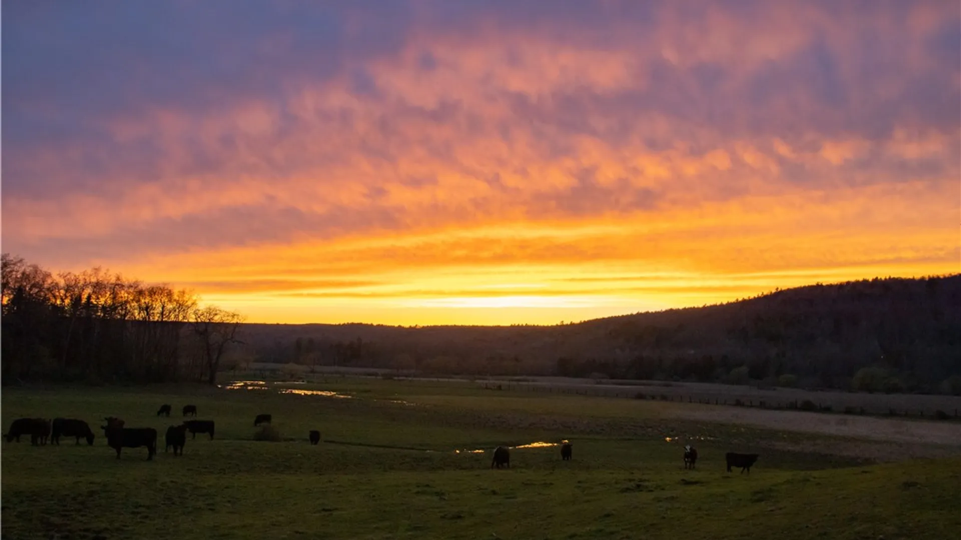 Property at 15541 State Highway 23, Davenport, NY 13750 24