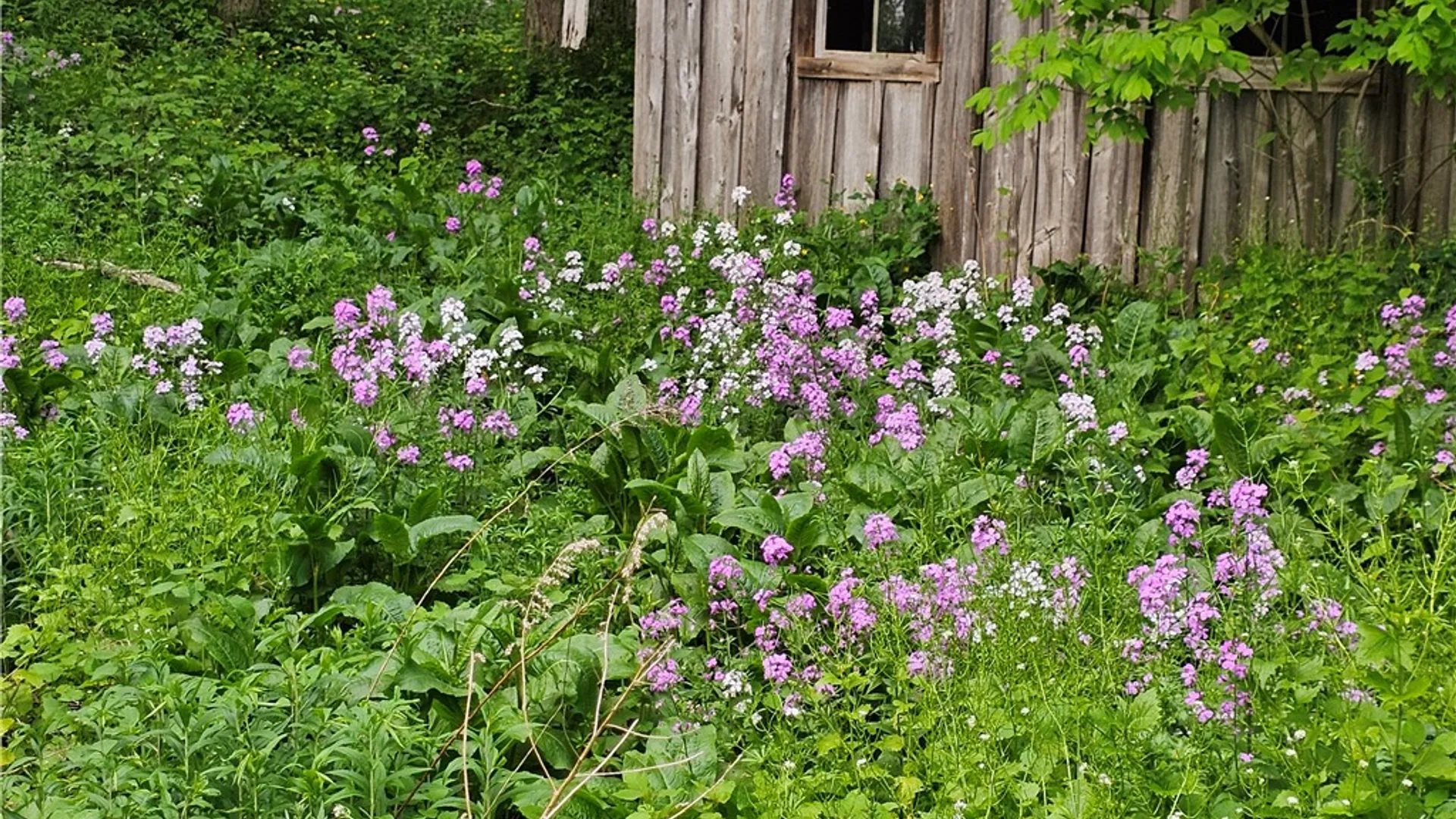 Property at 15541 State Highway 23, Davenport, NY 13750 27