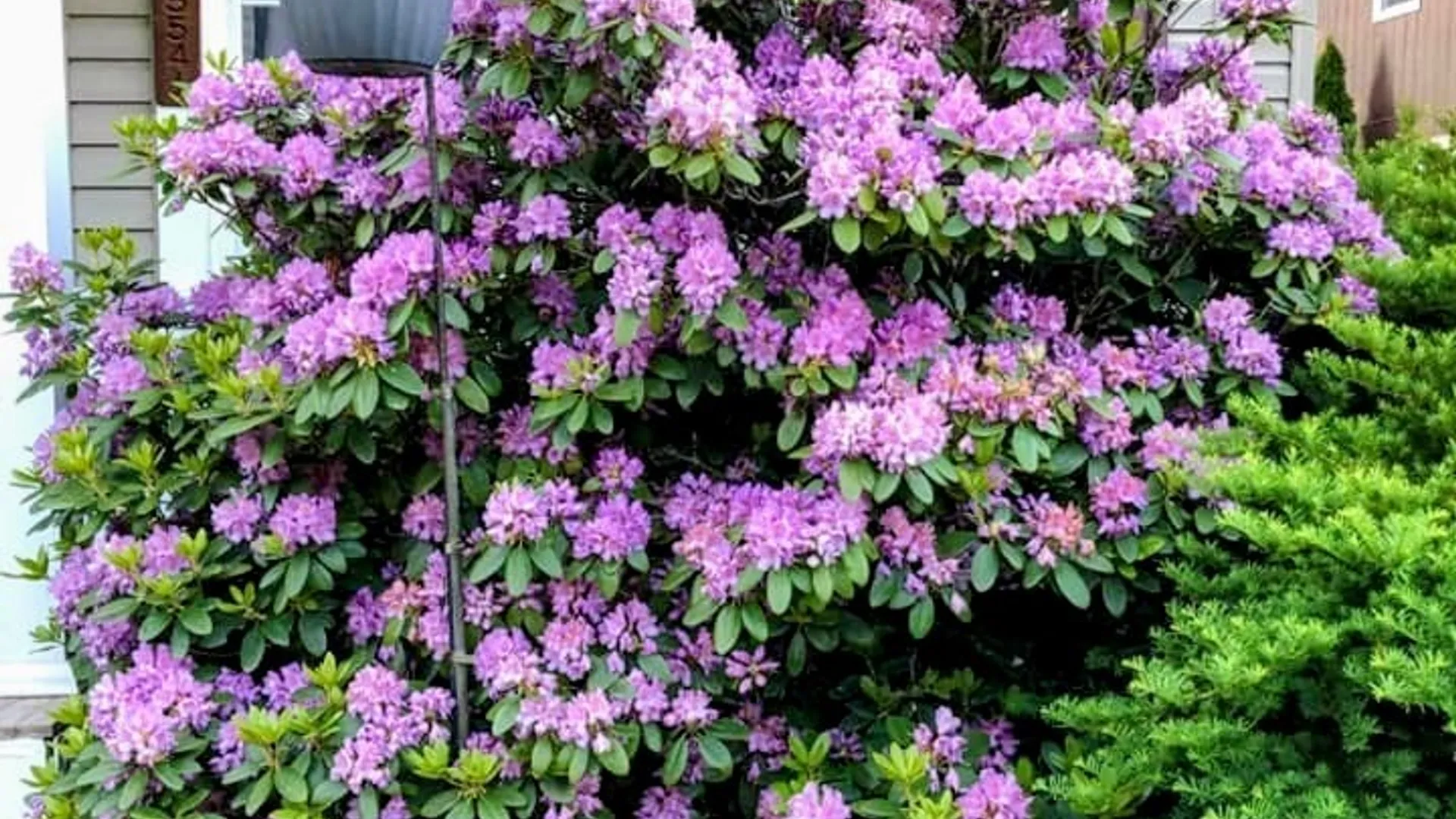 Property at 15541 State Highway 23, Davenport, NY 13750 29