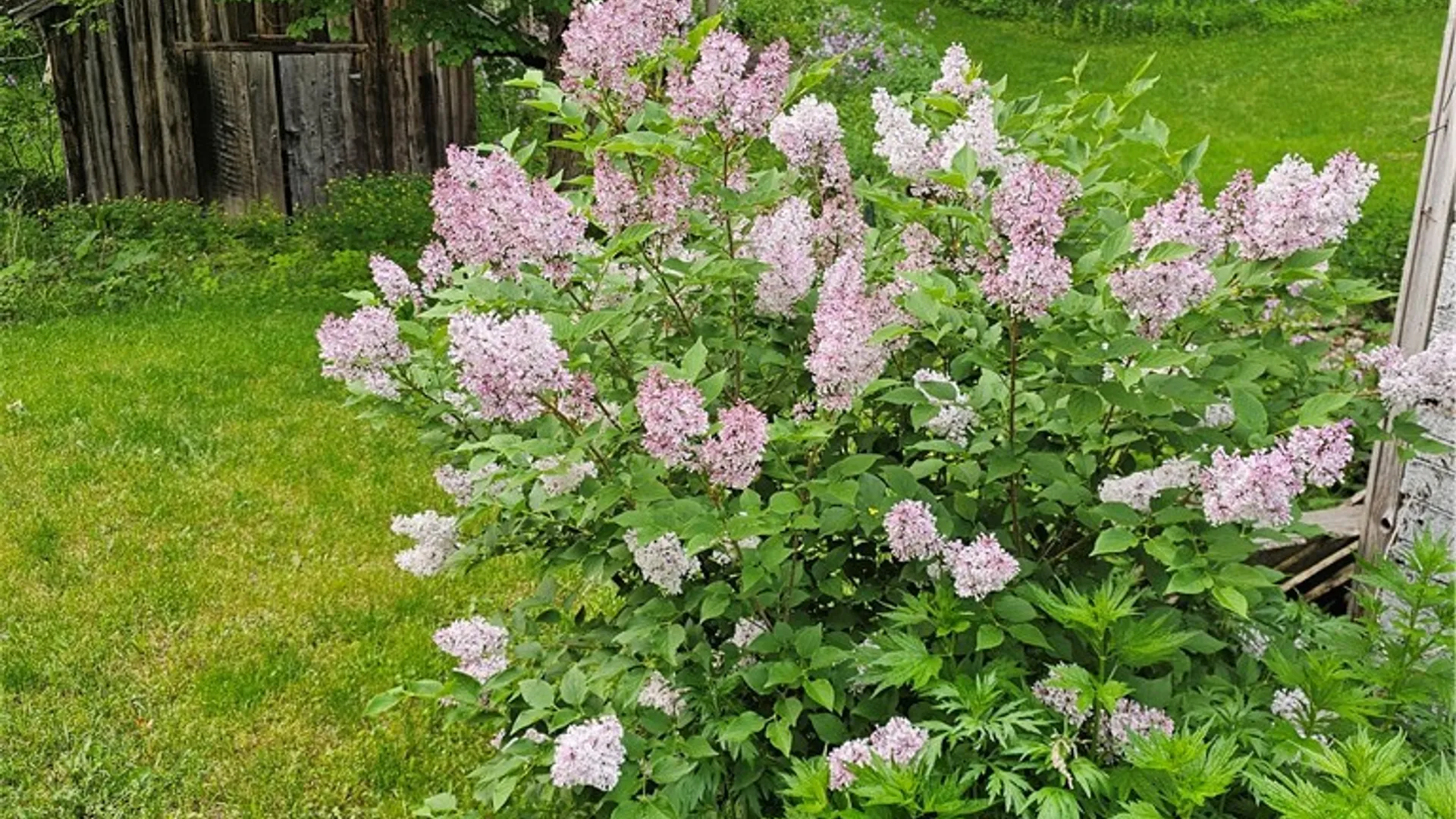 Property at 15541 State Highway 23, Davenport, NY 13750 30