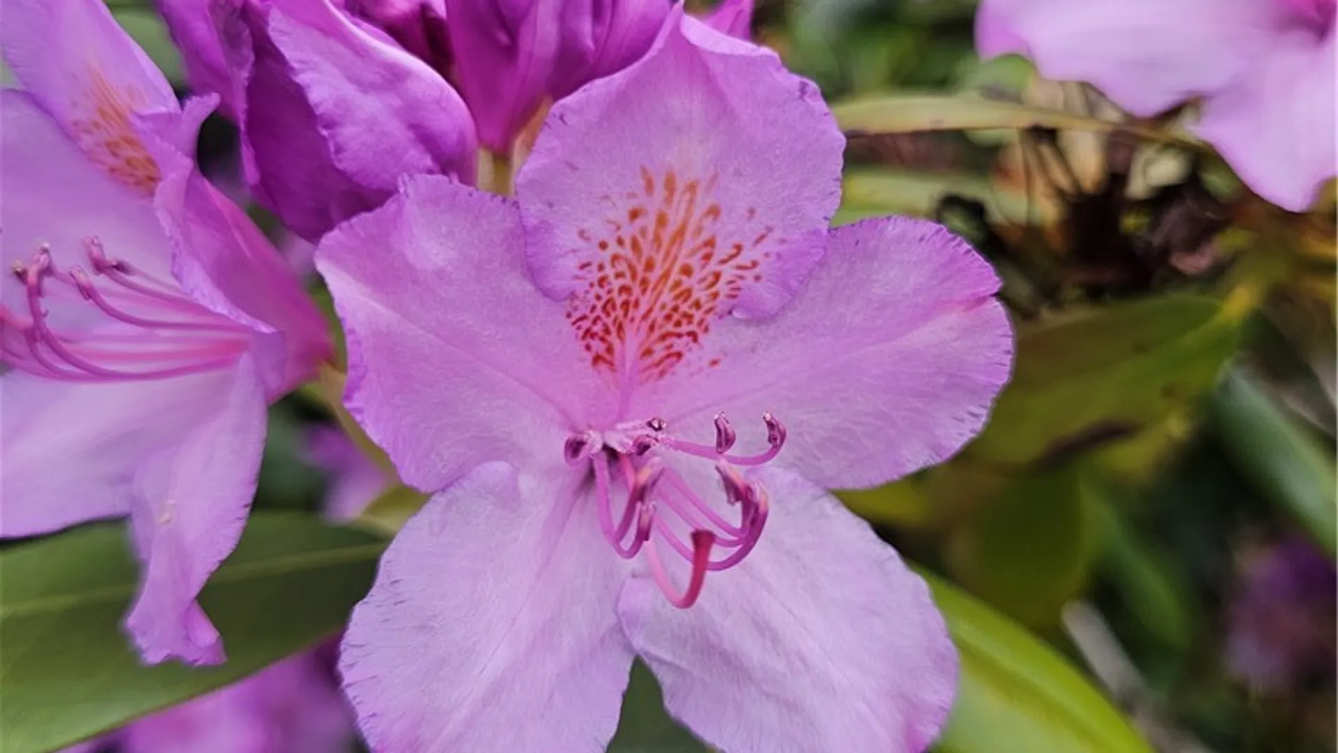 Property at 15541 State Highway 23, Davenport, NY 13750 31