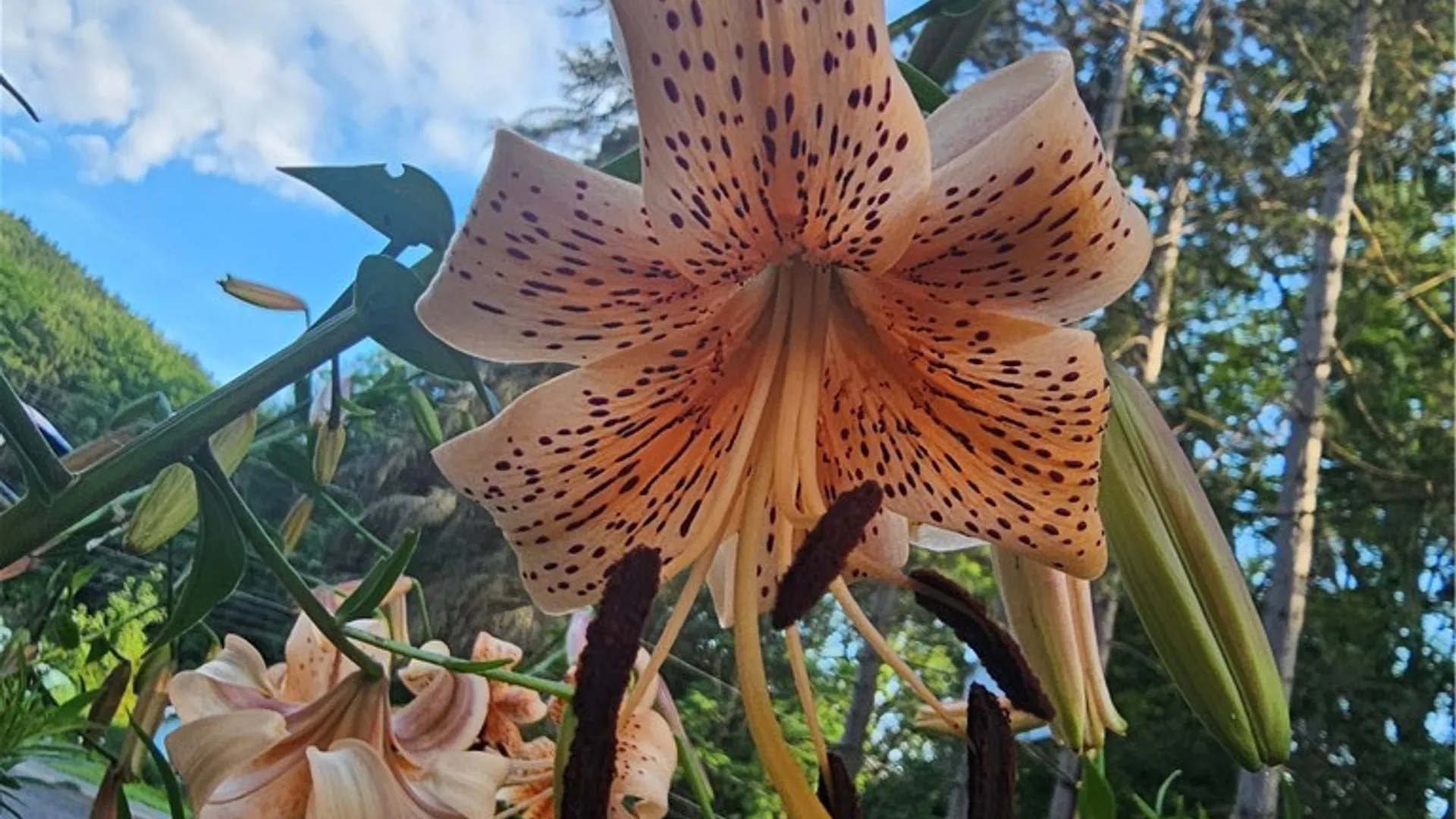 Property at 15541 State Highway 23, Davenport, NY 13750 32