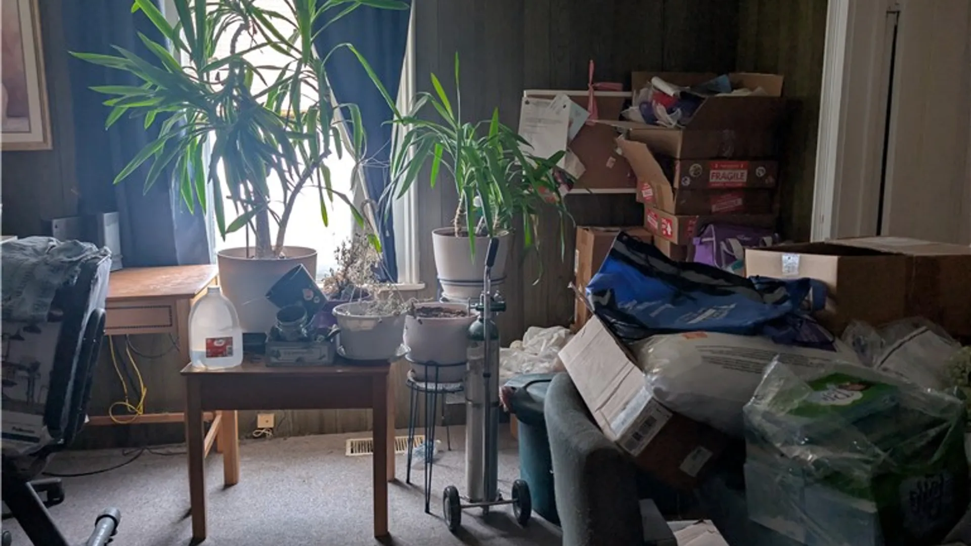 Property at 239 High Street, Hornell, NY 14843 8