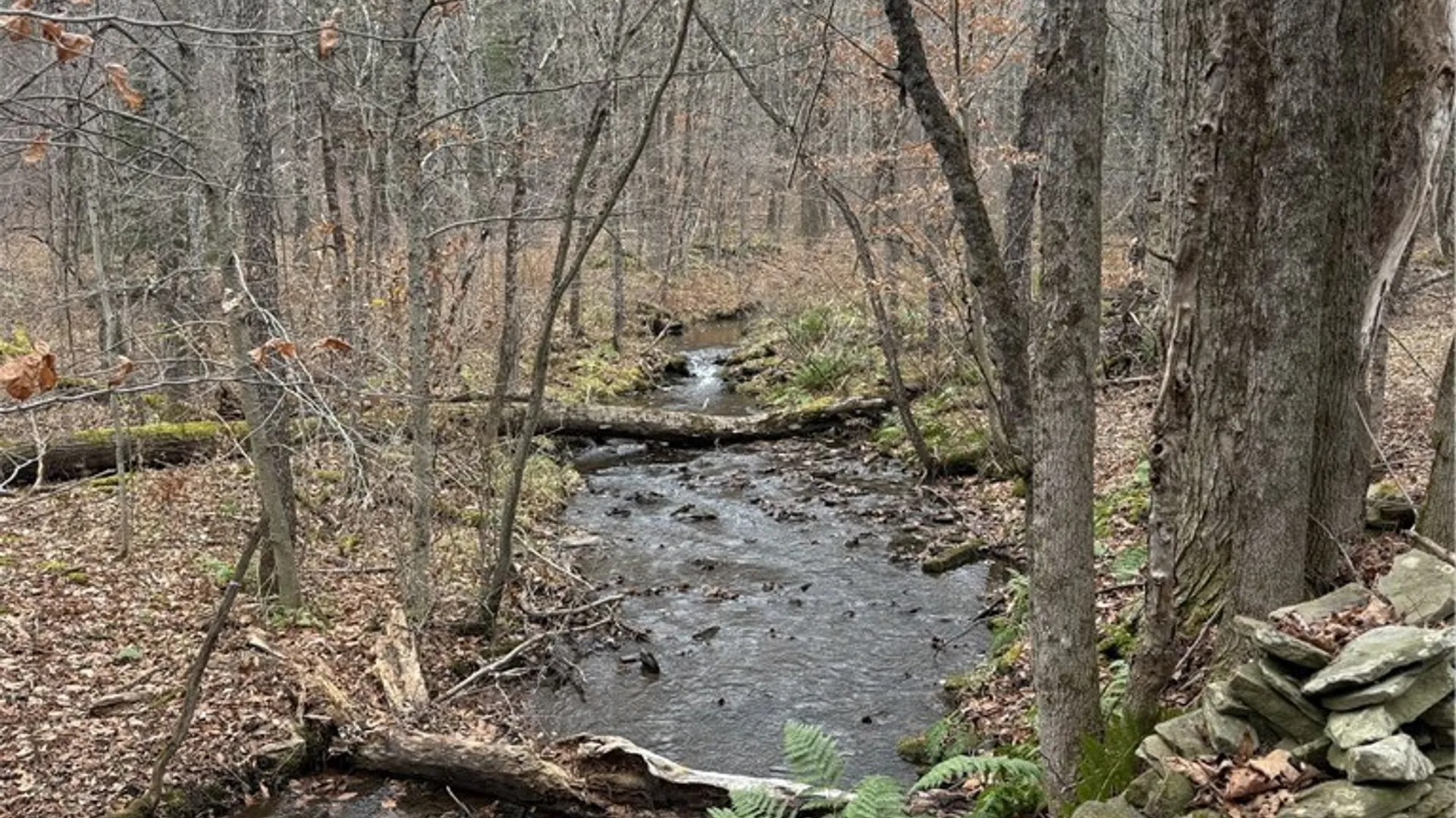 Property at 1-8 Worcester Hill Road, Harpersfield, NY 13786 5