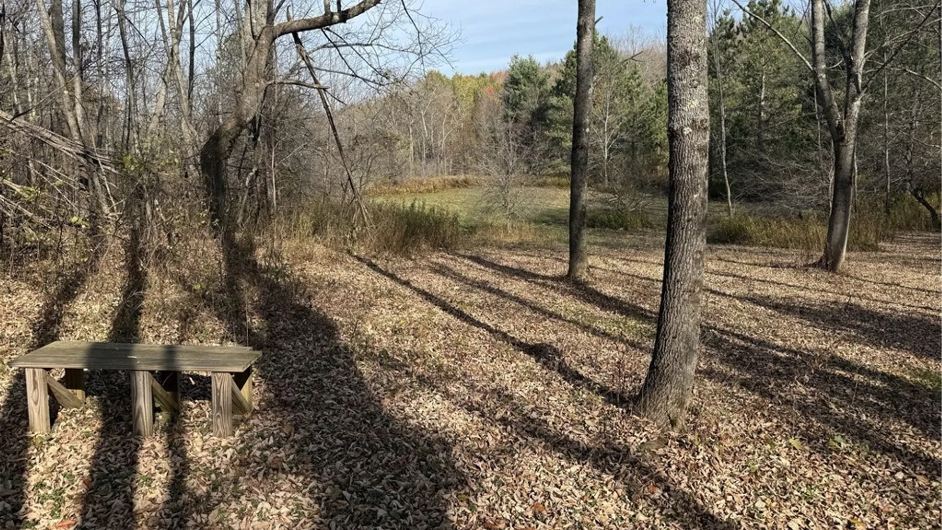 Property at 1-8 Worcester Hill Road, Harpersfield, NY 13786 7