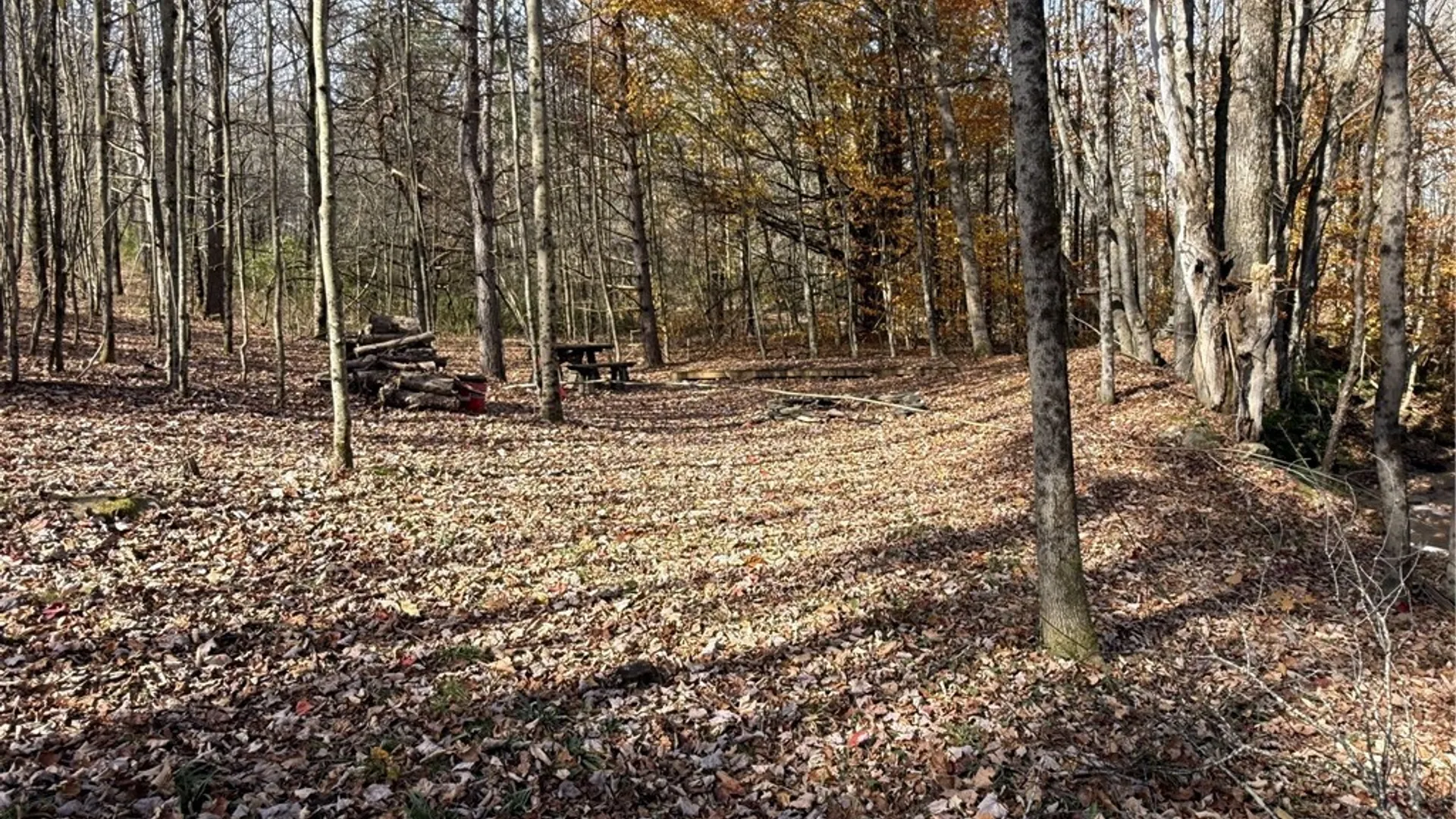 Property at 1-8 Worcester Hill Road, Harpersfield, NY 13786 8