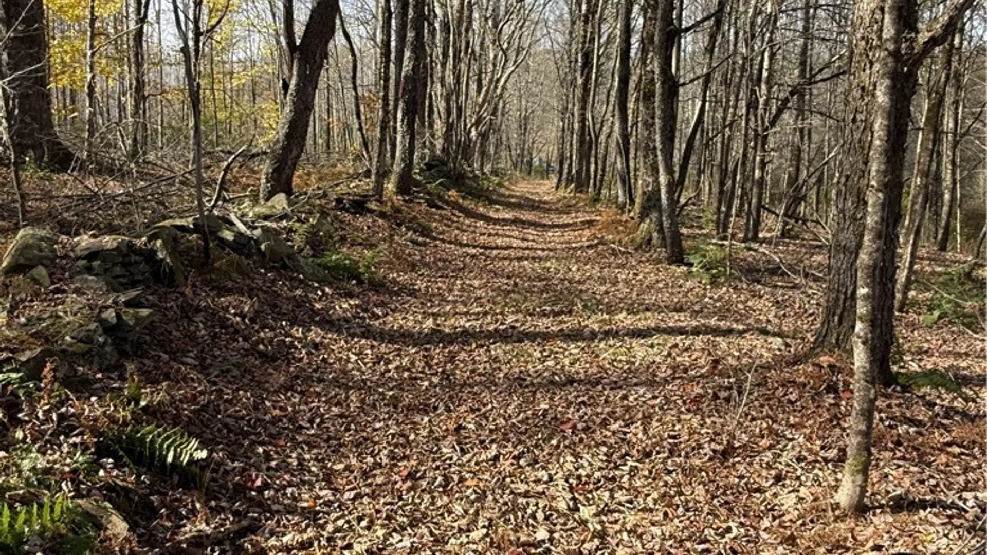 Property at 1-8 Worcester Hill Road, Harpersfield, NY 13786 9