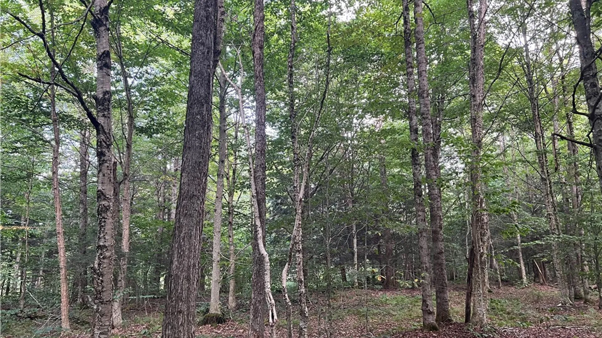 Property at Creek Road, Annsville, NY 13471 10