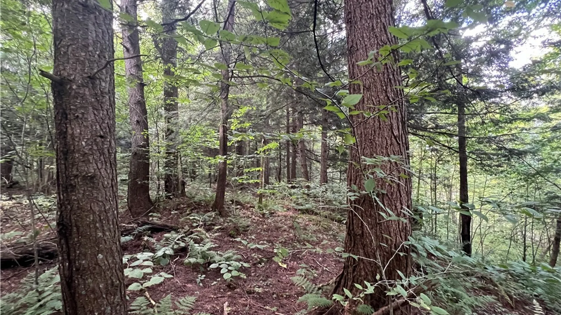 Property at Creek Road, Annsville, NY 13471 14