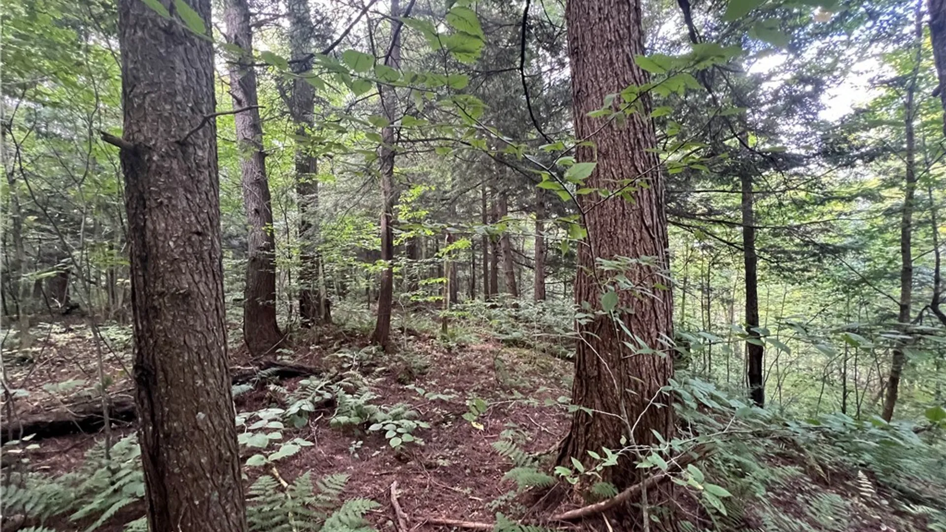 Property at Creek Road, Annsville, NY 13471 15