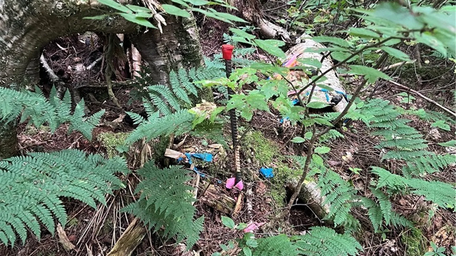 Property at Creek Road, Annsville, NY 13471 16