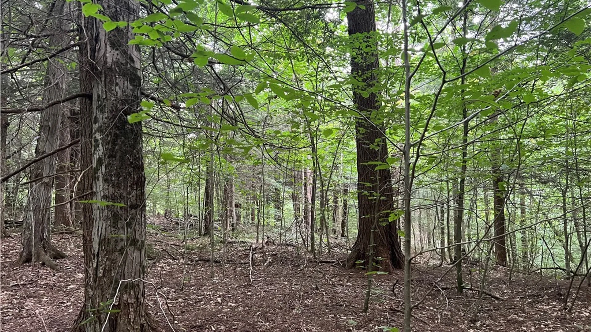 Property at Creek Road, Annsville, NY 13471 17