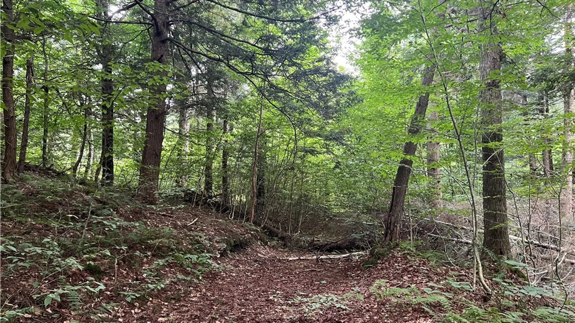 Property at Creek Road, Annsville, NY 13471 21