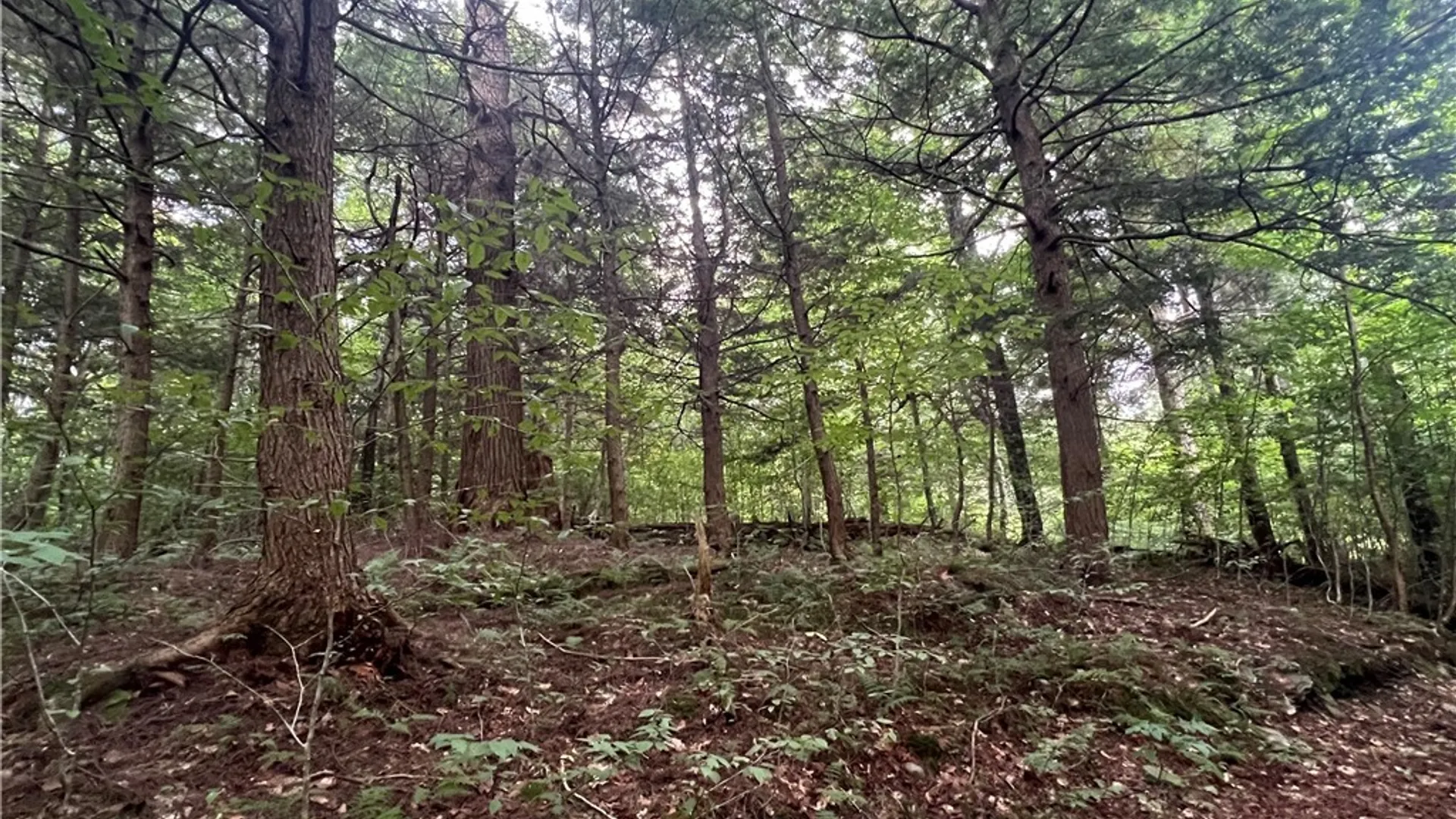 Property at Creek Road, Annsville, NY 13471 22