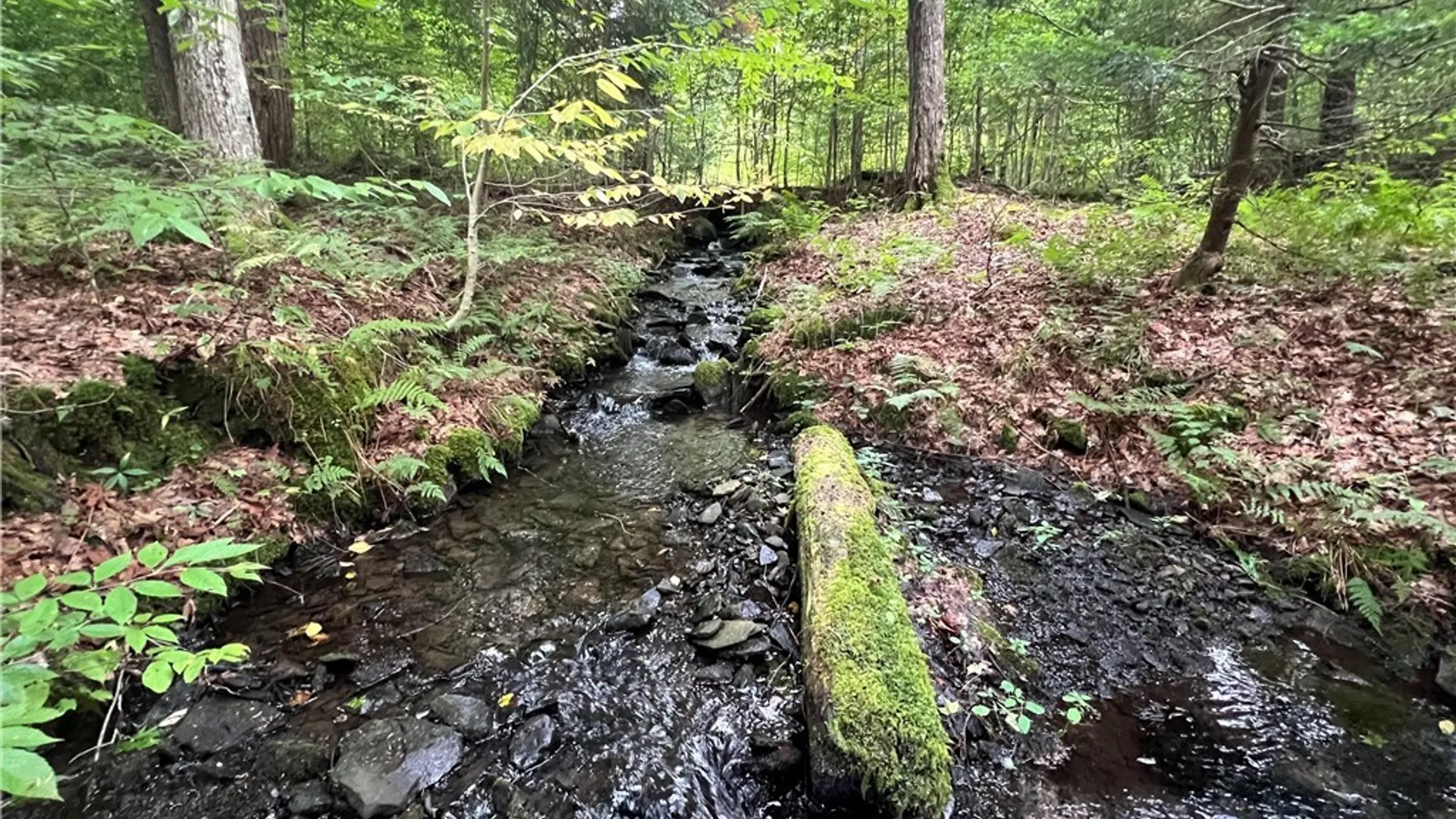 Property at Creek Road, Annsville, NY 13471 23