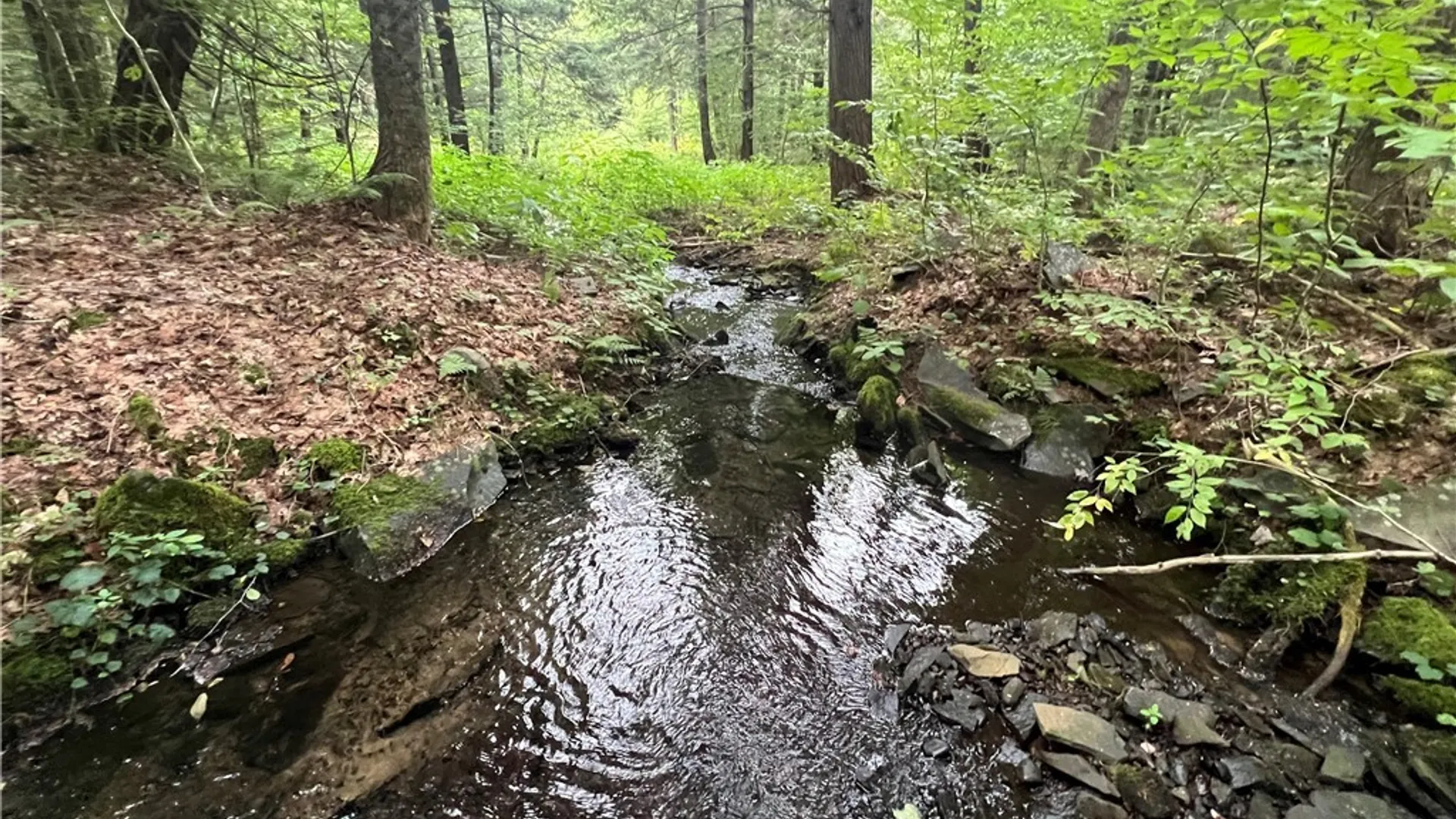 Property at Creek Road, Annsville, NY 13471 24