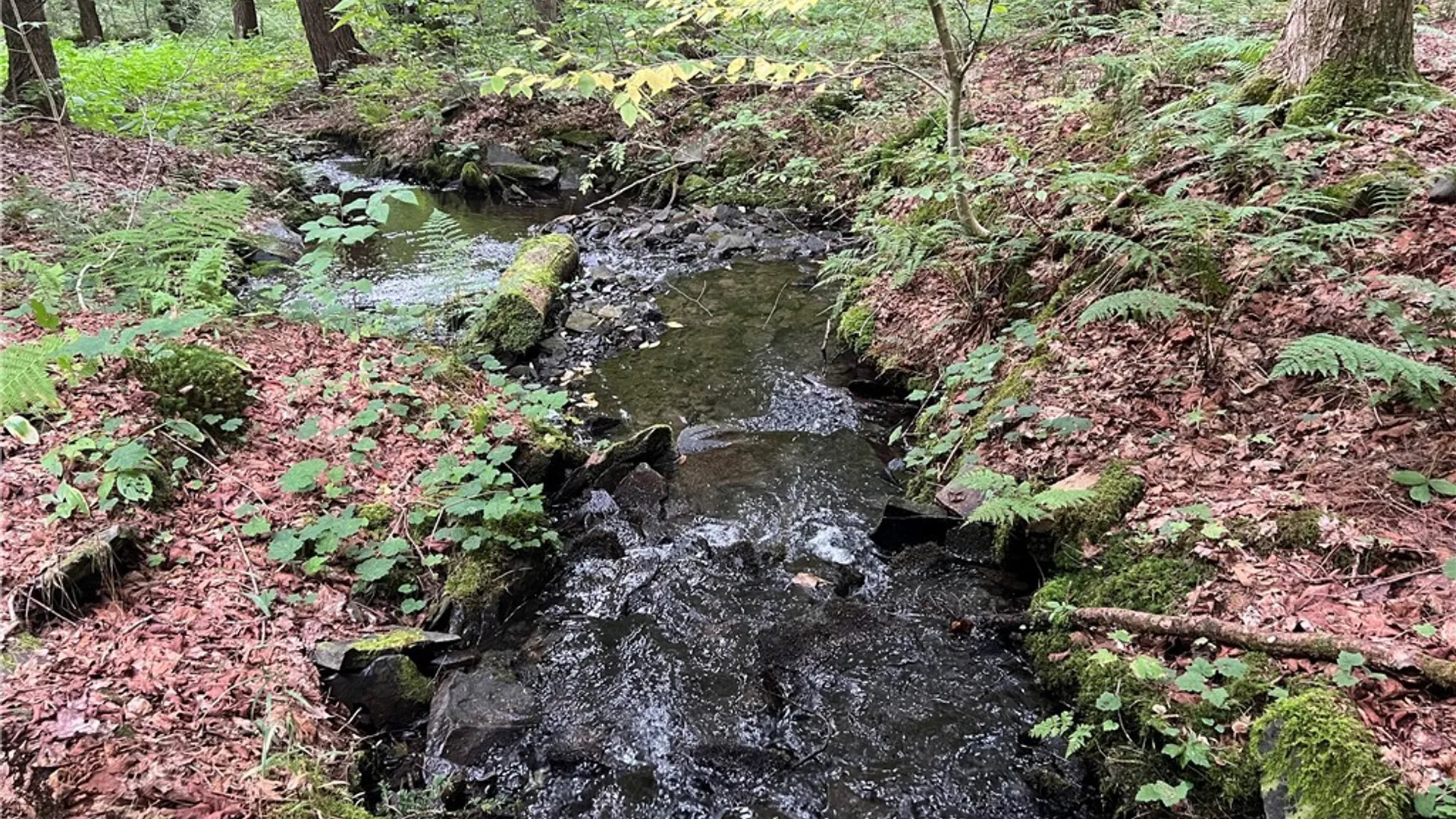 Property at Creek Road, Annsville, NY 13471 25