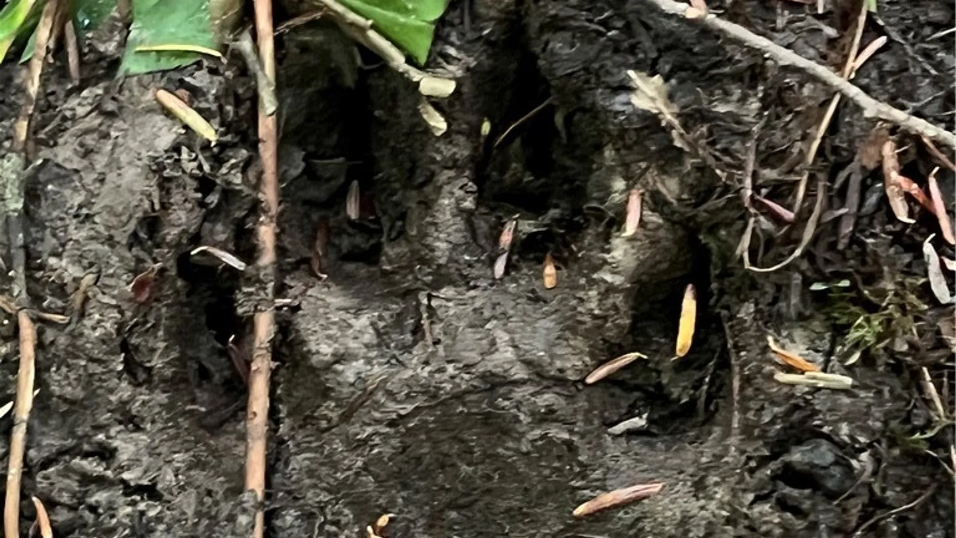 Property at Creek Road, Annsville, NY 13471 26