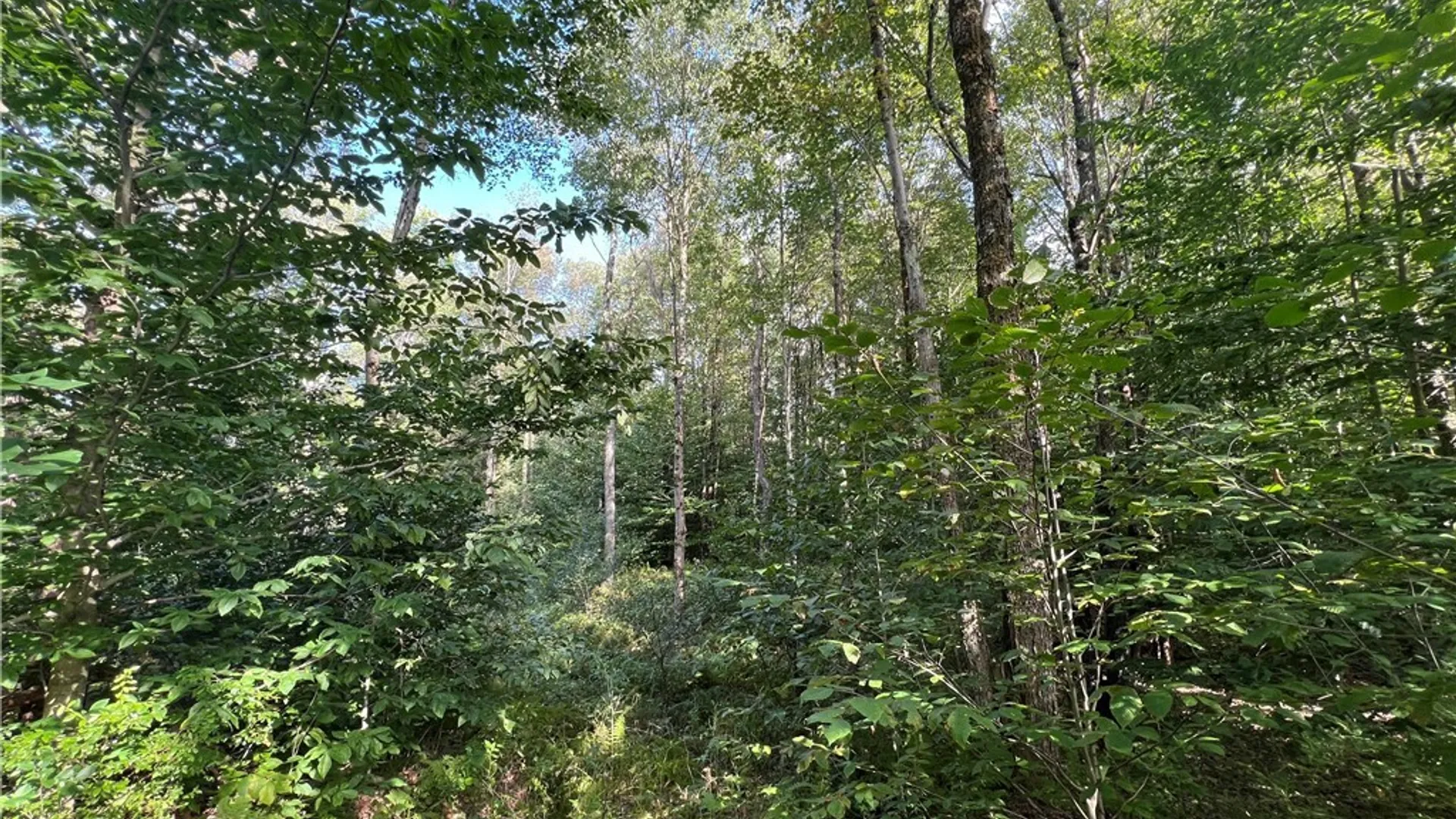 Property at Creek Road, Annsville, NY 13471 27